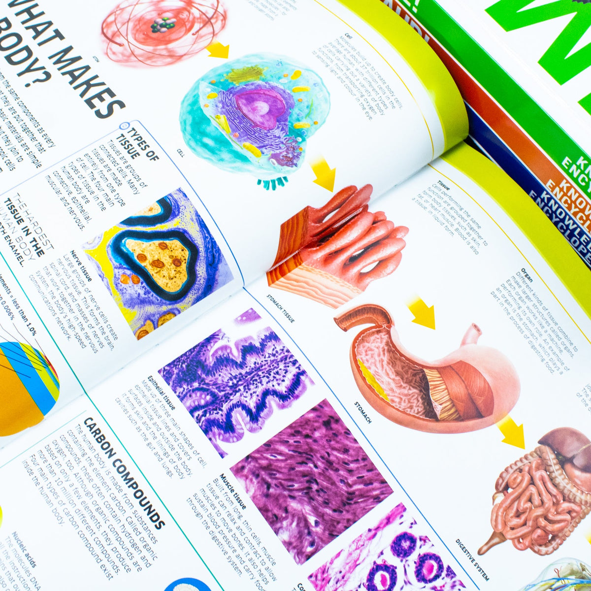 DK Knowledge Encyclopedias 5-Book Collection | Educational & fun set for kids – science, space, human body, animals, dinosaurs, STEM learning