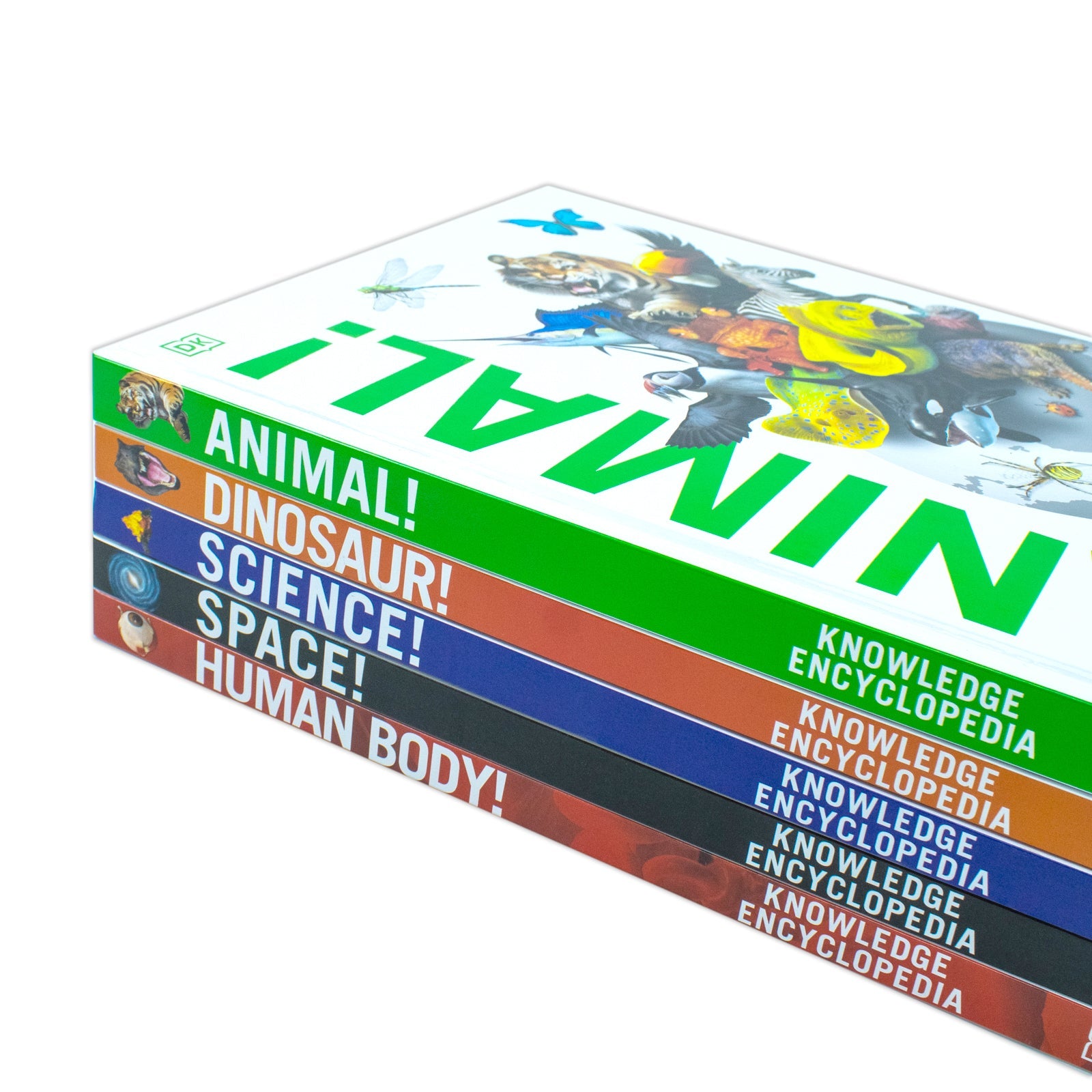 DK Knowledge Encyclopedias 5-Book Collection | Educational & fun set for kids – science, space, human body, animals, dinosaurs, STEM learning