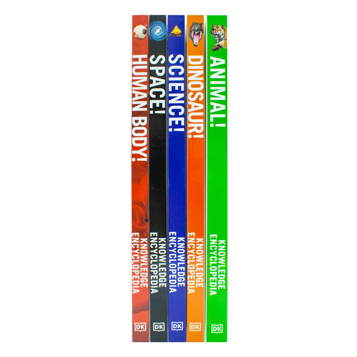 DK Knowledge Encyclopedias 5-Book Collection | Educational & fun set for kids – science, space, human body, animals, dinosaurs, STEM learning