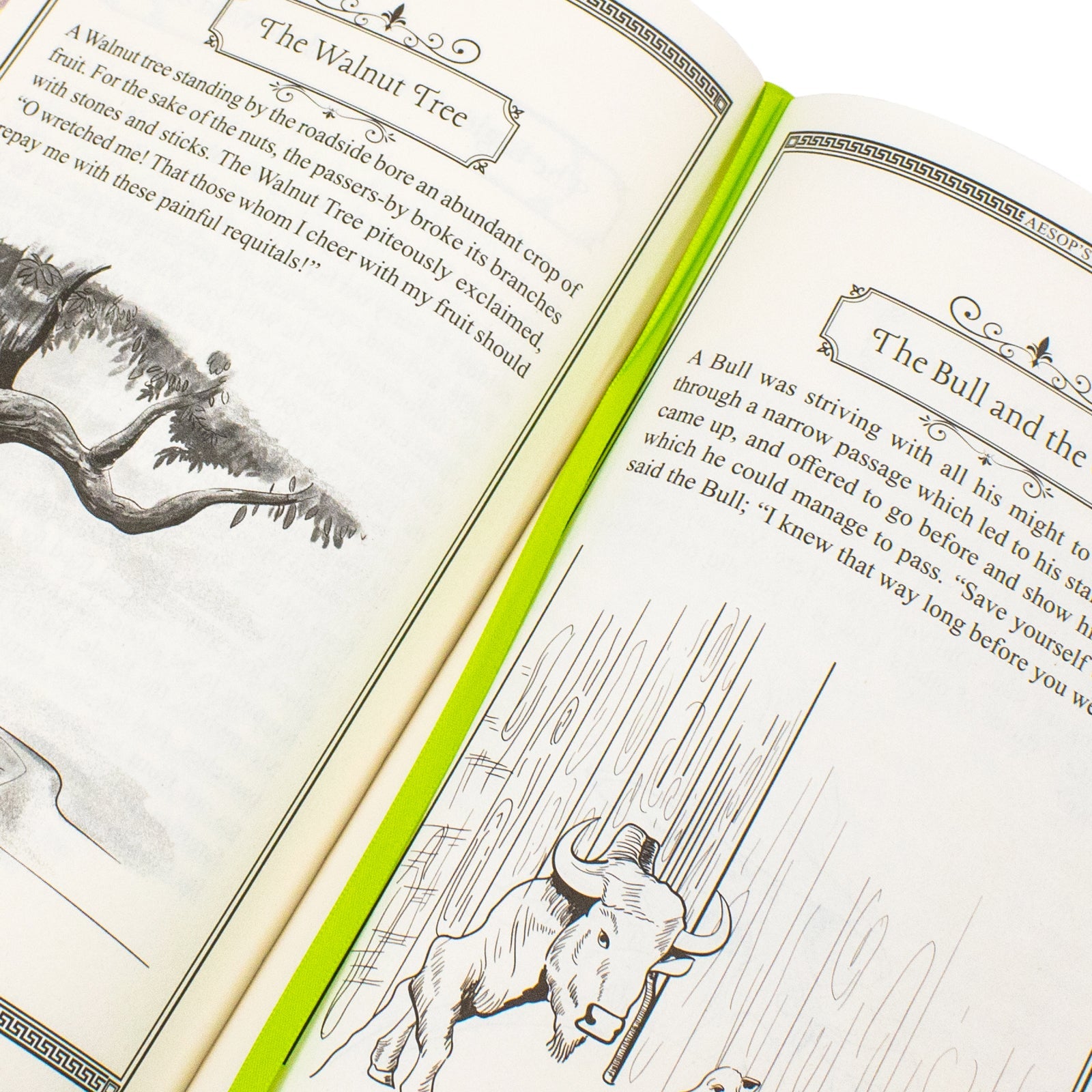 Aesop's Fables Book By Aesop | Classics Sprayed Edge Deluxe Hardcover Edition