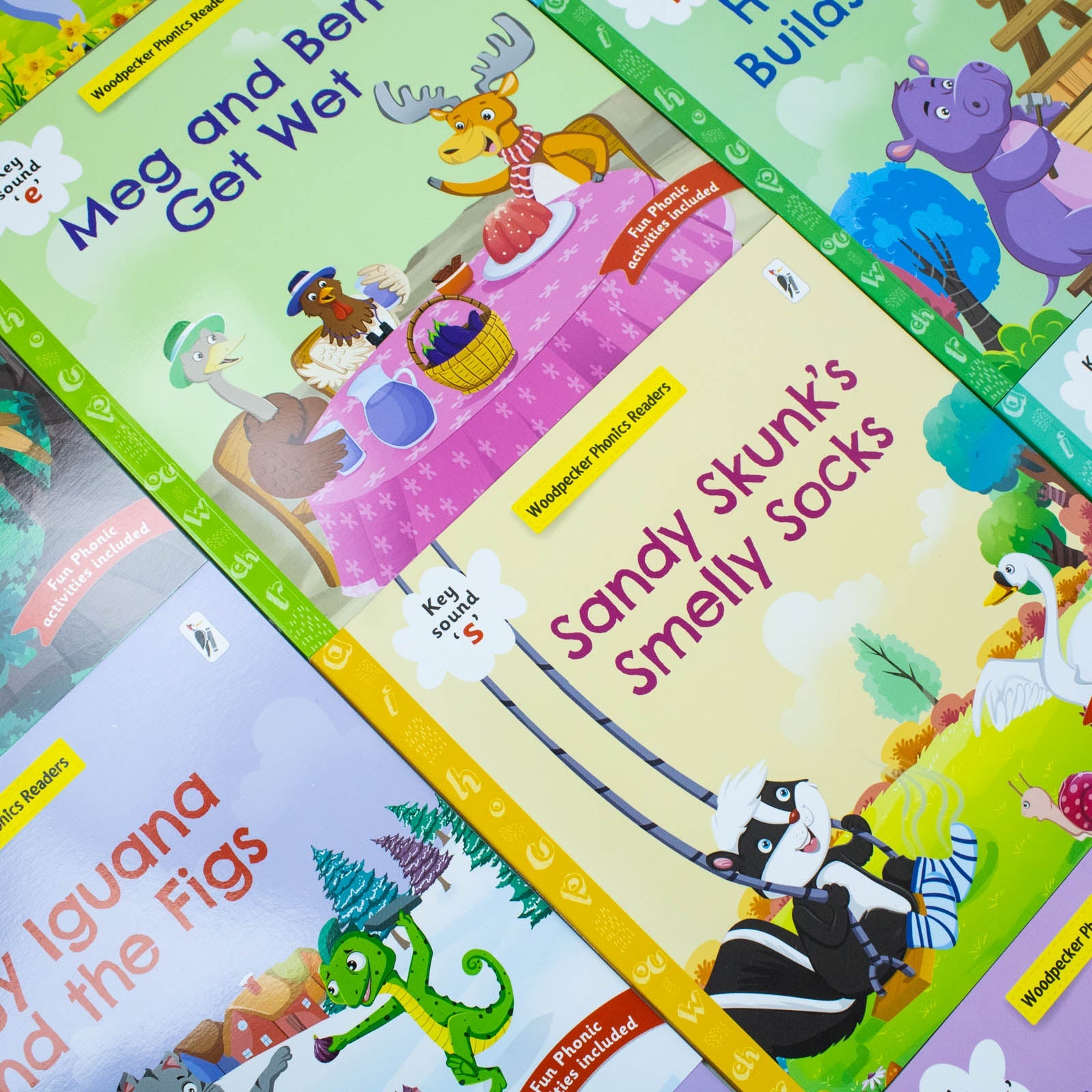 Learning Key Phonics Sounds 12 books set Level 1 Woodpecker Books
