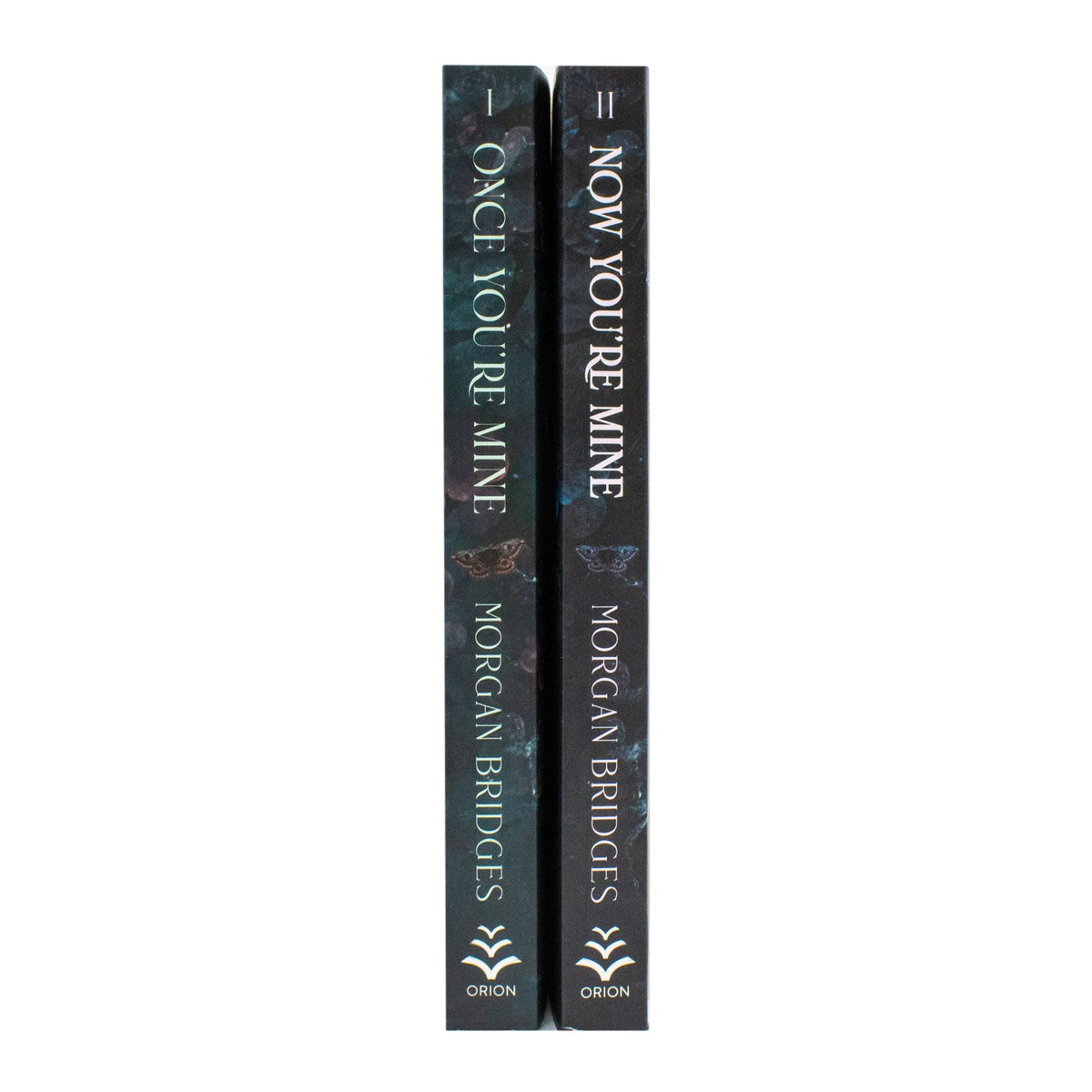 Possessing Her 2 Book Set by Morgan Bridges (Once You're Mine, Now You're Mine) | Paperback
