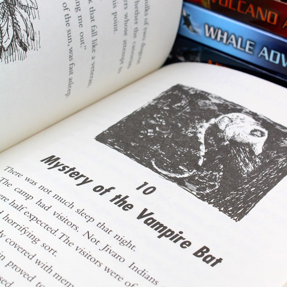 Photo of Hal and Roger Hunt Adventures Series Books 1-7 Pages by Willard Price