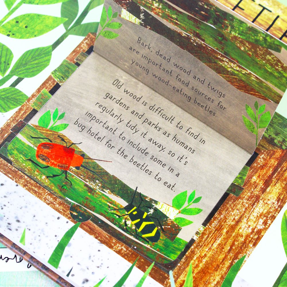 A Clover Robin Book of Nature Series – 3-Book Lift-the-Flap Collection | Bird House, Bug Hotel & Animal Homes | Interactive Kids Nature & Discovery