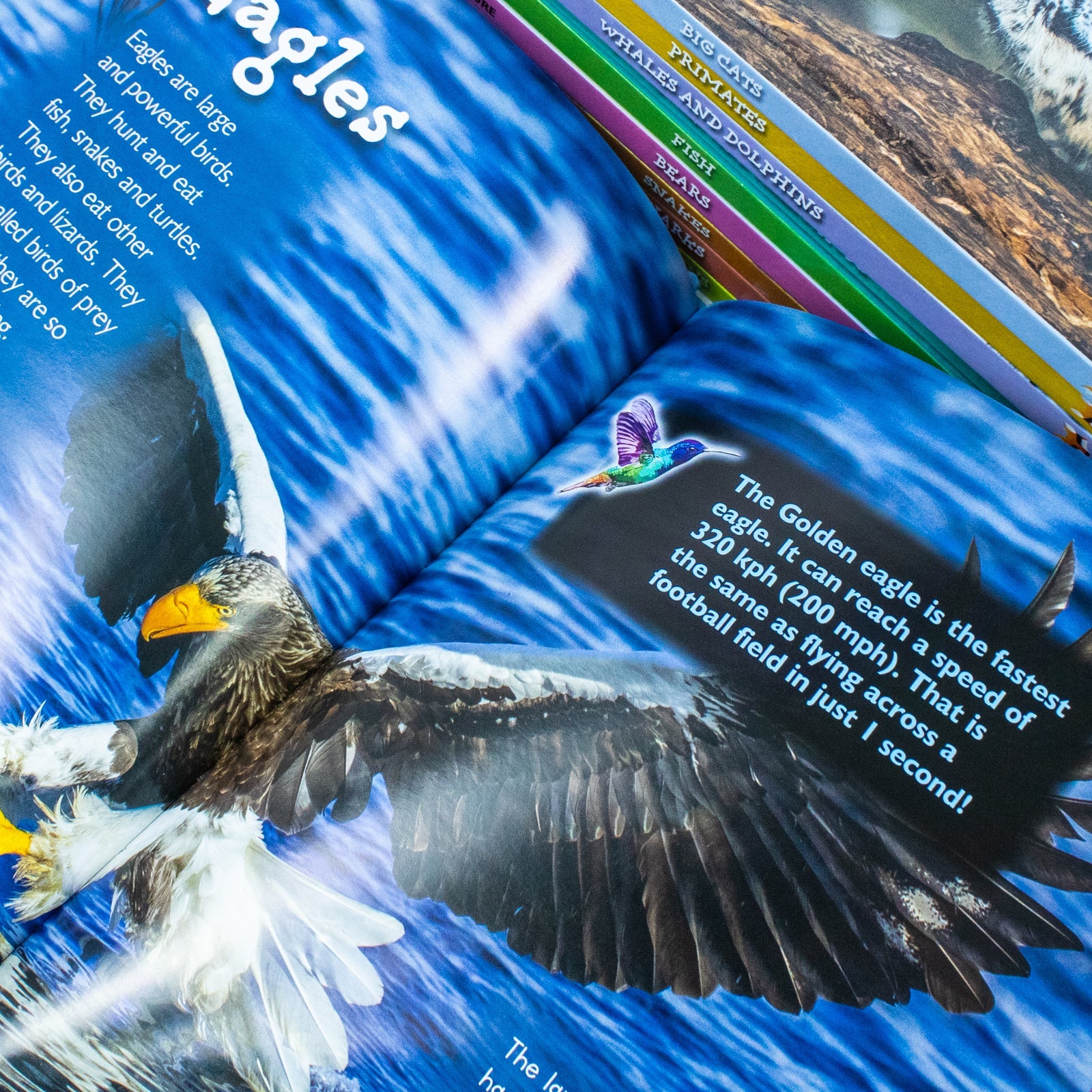 Children Introduction To Nature For Beginners 10 Hardback Book Collection Set:: (Bear, Big Cats, Birds, Crocodiles And Alligators, Fish, Penguins, Primates, Sharks, Snakes, Whales And Dolphins)