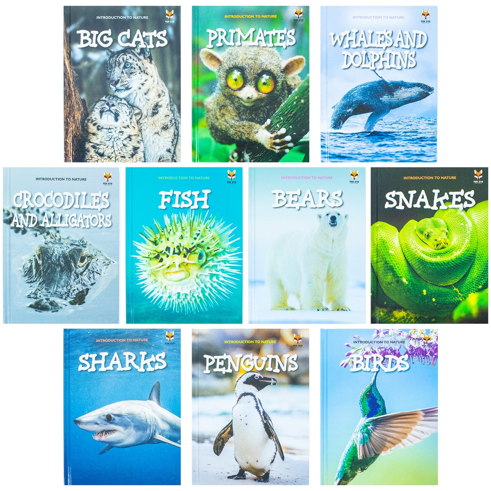Children Introduction To Nature For Beginners 10 Hardback Book Collection Set:: (Bear, Big Cats, Birds, Crocodiles And Alligators, Fish, Penguins, Primates, Sharks, Snakes, Whales And Dolphins)