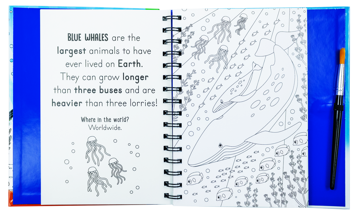 Magic Water Colouring Activity Collection 3 Book Set By Jenny Copper(Horses & Unicorns, Mermaids, Under the Sea)