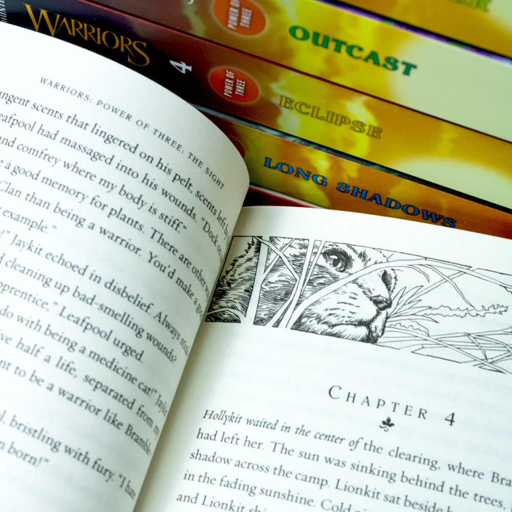 Warriors Cat Power of Three Book 1-6 Series 3 Collection Set By Erin Hunter