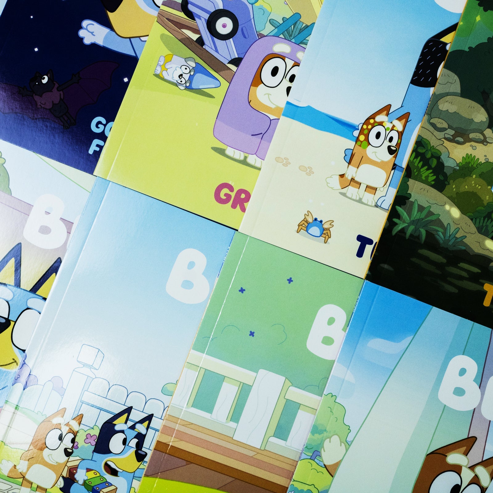 Bluey Let's Do This! 10-Book Picture Story Collection Box Set | Fun & Adventure-Filled Children's Stories | Family, Friendship, Learning & Imagination