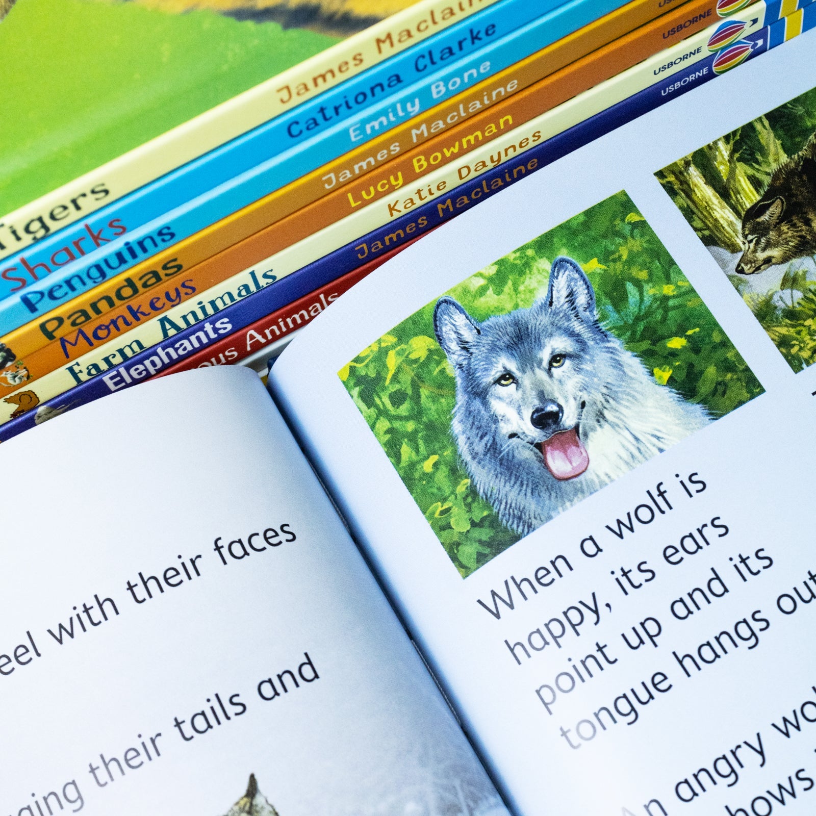 Usborne Beginners Animals Collection 10 Books Box Set – Educational Kids Book Set on Wildlife & Nature (Bears, Sharks, Tigers, Penguins, Wolves &More)