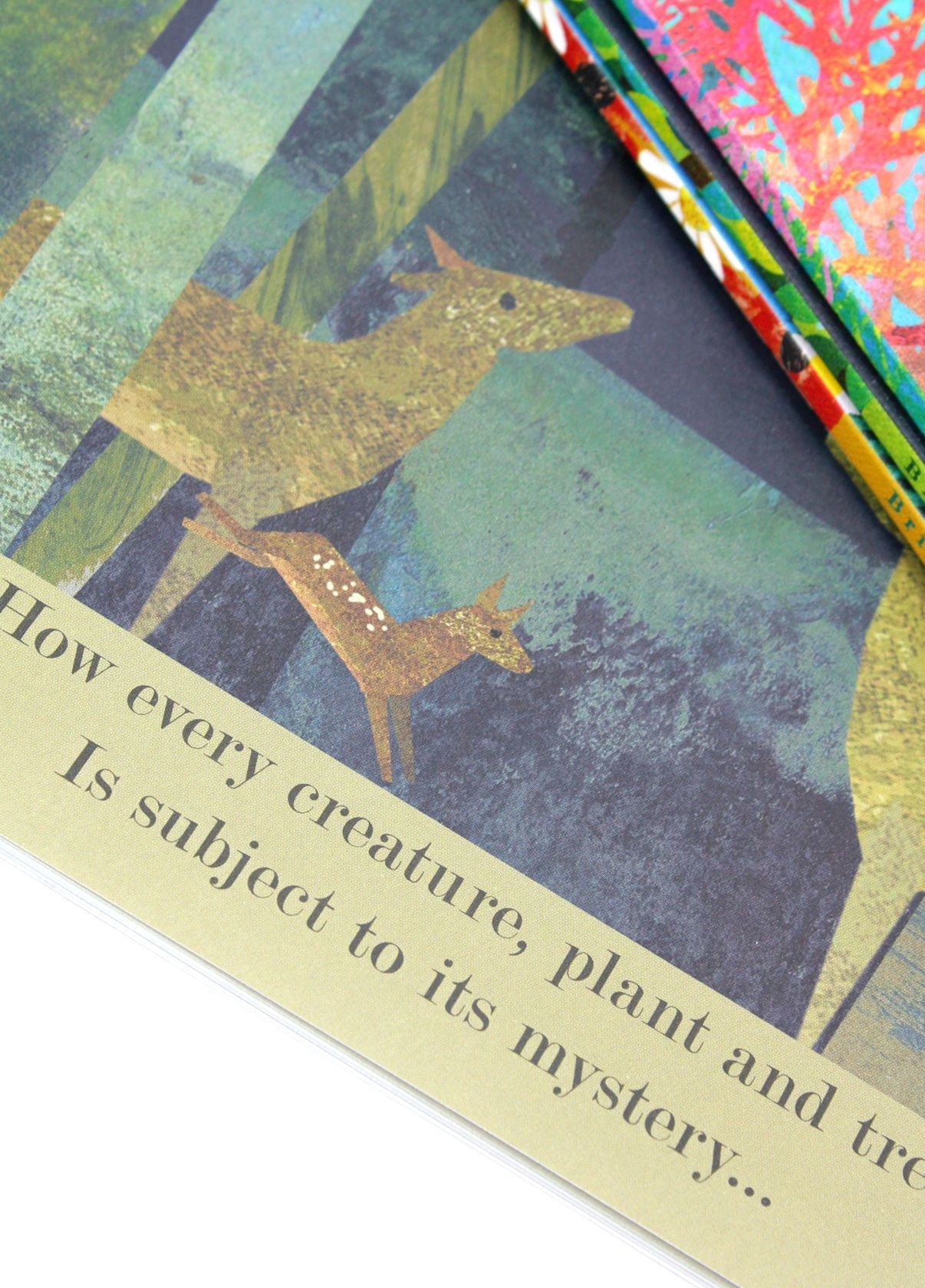 Britta Teckentrup 4 Book Set by Patricia Hegarty – Illustrated Children's Storybooks for Young Readers, Learning, Fun, Imagination & Read-Aloud Time