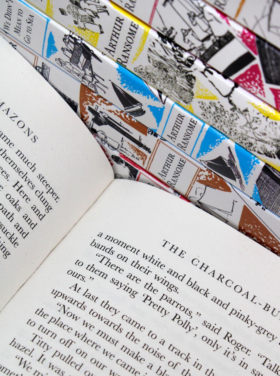 Swallows and Amazons 12 Book Set by Arthur Ransome | Classic Children's Adventure Series, Outdoor Fun, Timeless Tales, Family Reading