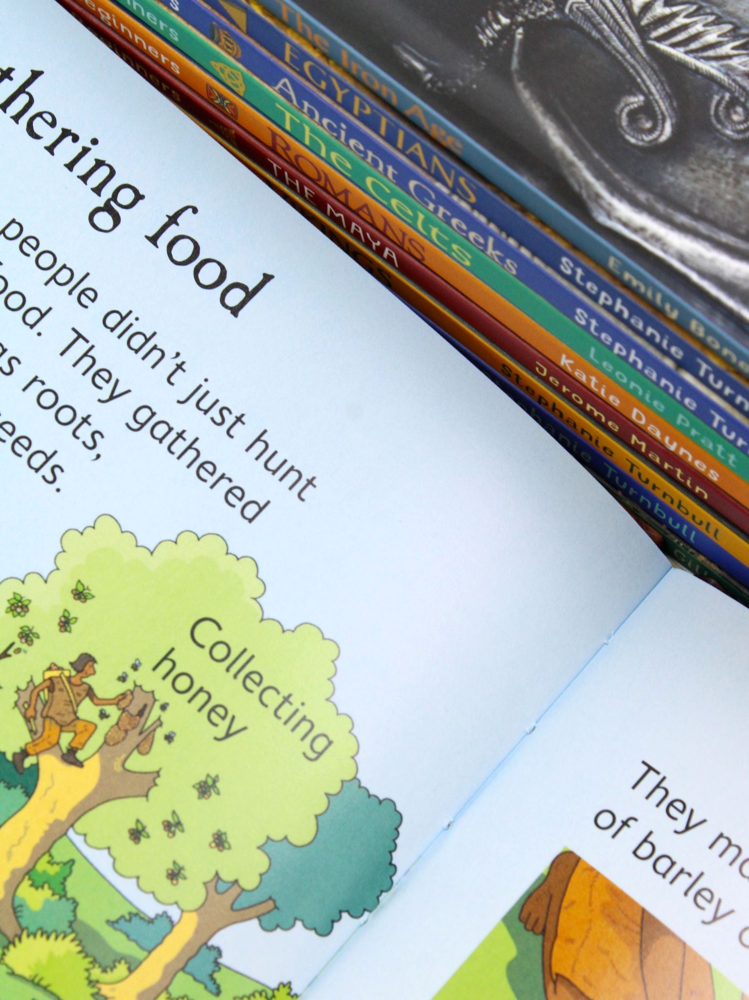 Usborne Beginners History 10 Books Collection Box Set– Educational Children's Books on Stone Age, Iron Age, Ancient Cultures, Artifacts & Fun Learning