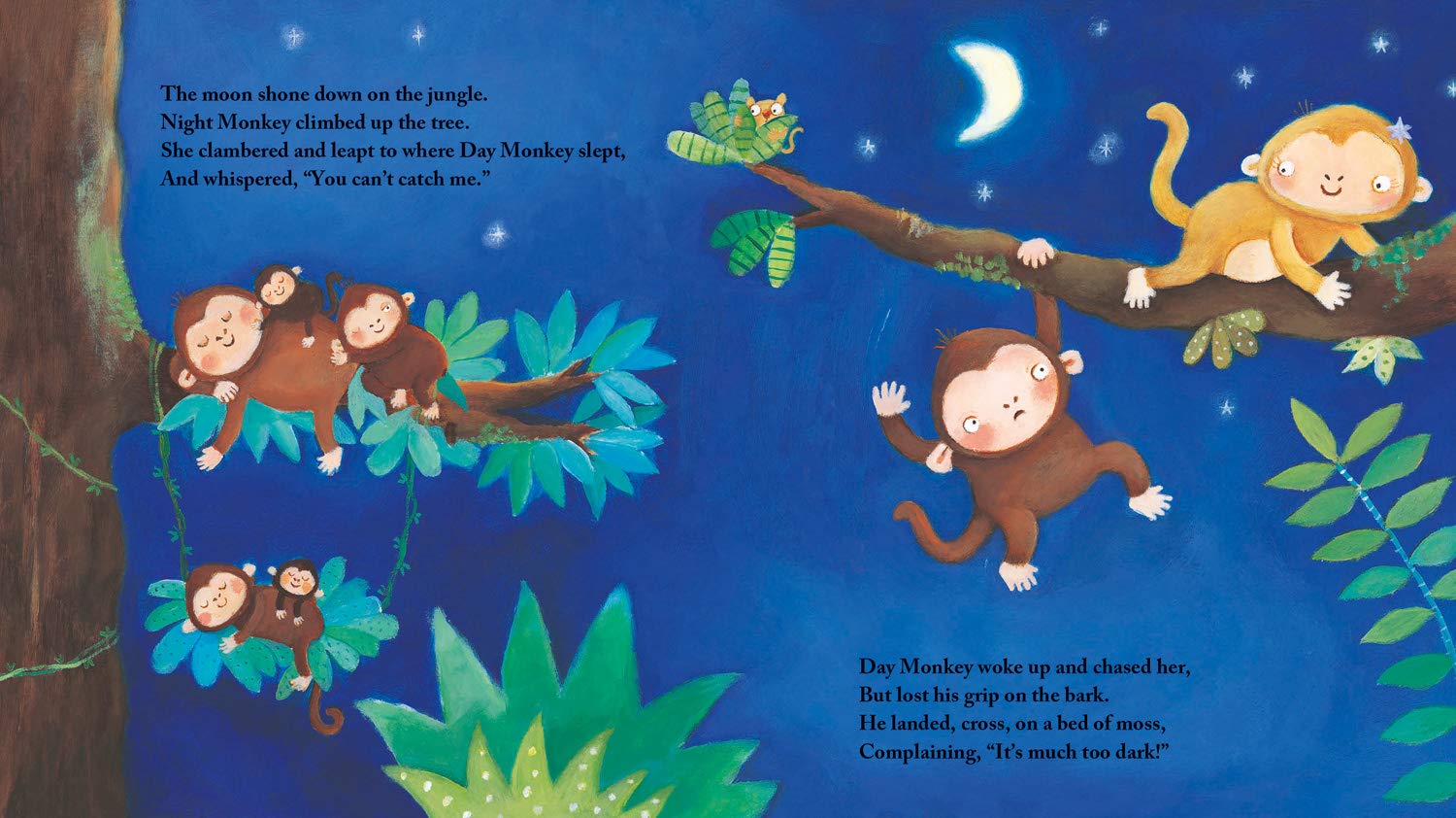 Night Monkey, Day Monkey Book By Julia Donaldson (Paperback)