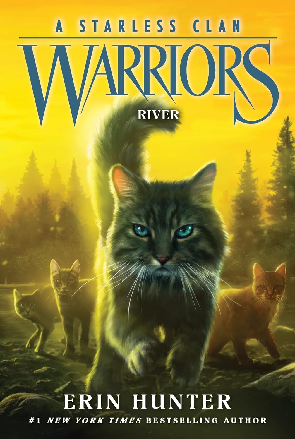 Warrior Cats Series 8 – A Starless Clan 6 Books Collection Set by Erin Hunter | River, Sky, Shadow, Thunder, Wind & Star | Children's Fantasy Adventure Series