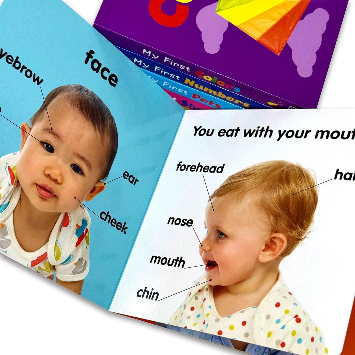 DK My First Learning Library 6 Book Box Set – My First Body, Colors, Numbers, Pets, Shapes & Words | Board Books for Toddlers