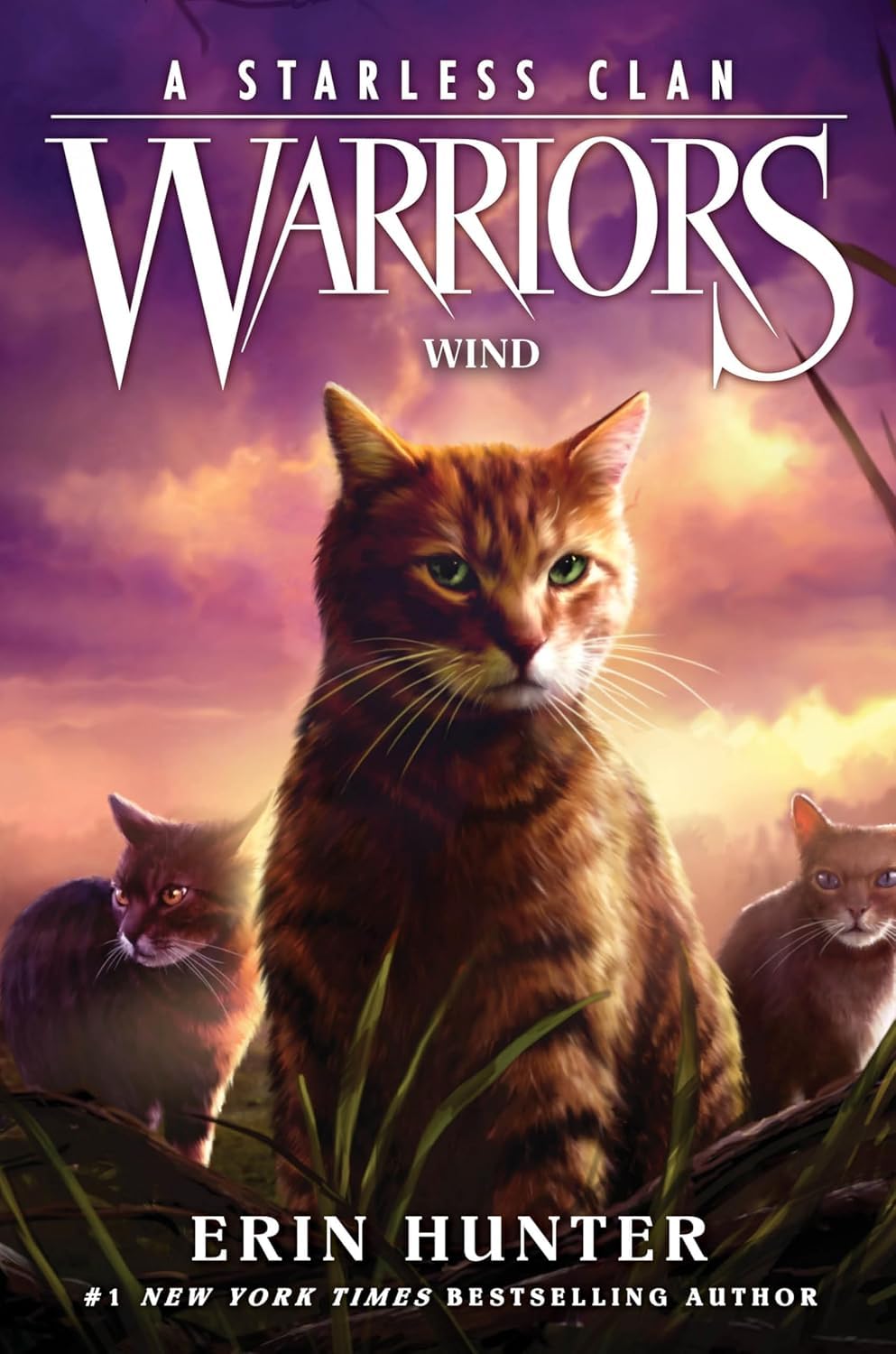 Warrior Cats Series 8 – A Starless Clan 6 Books Collection Set by Erin Hunter | River, Sky, Shadow, Thunder, Wind & Star | Children's Fantasy Adventure Series
