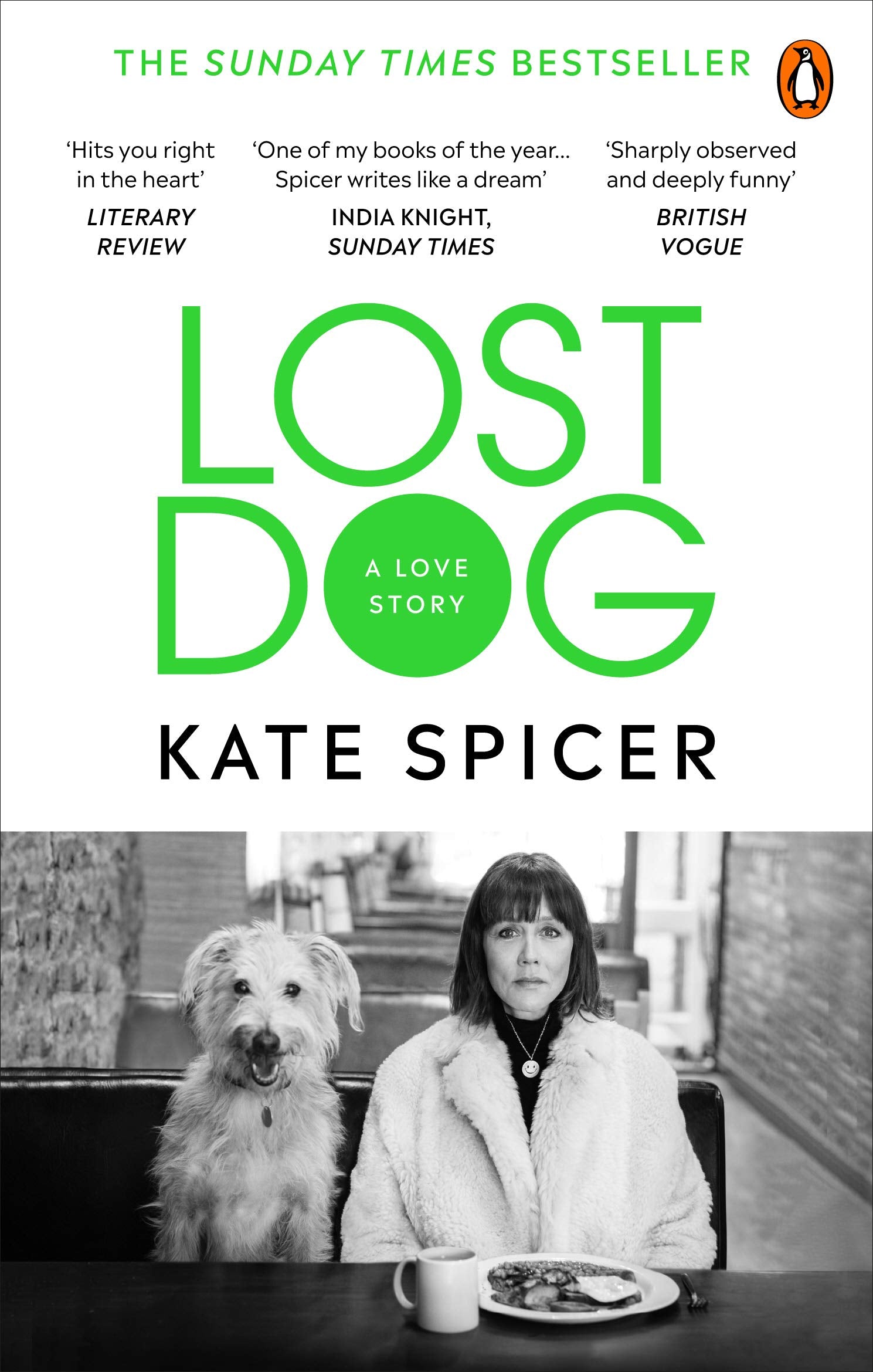 Lost Dog: A Love Story by Kate Spicer | True Dog Memoir | Emotional Pet Rescue Book