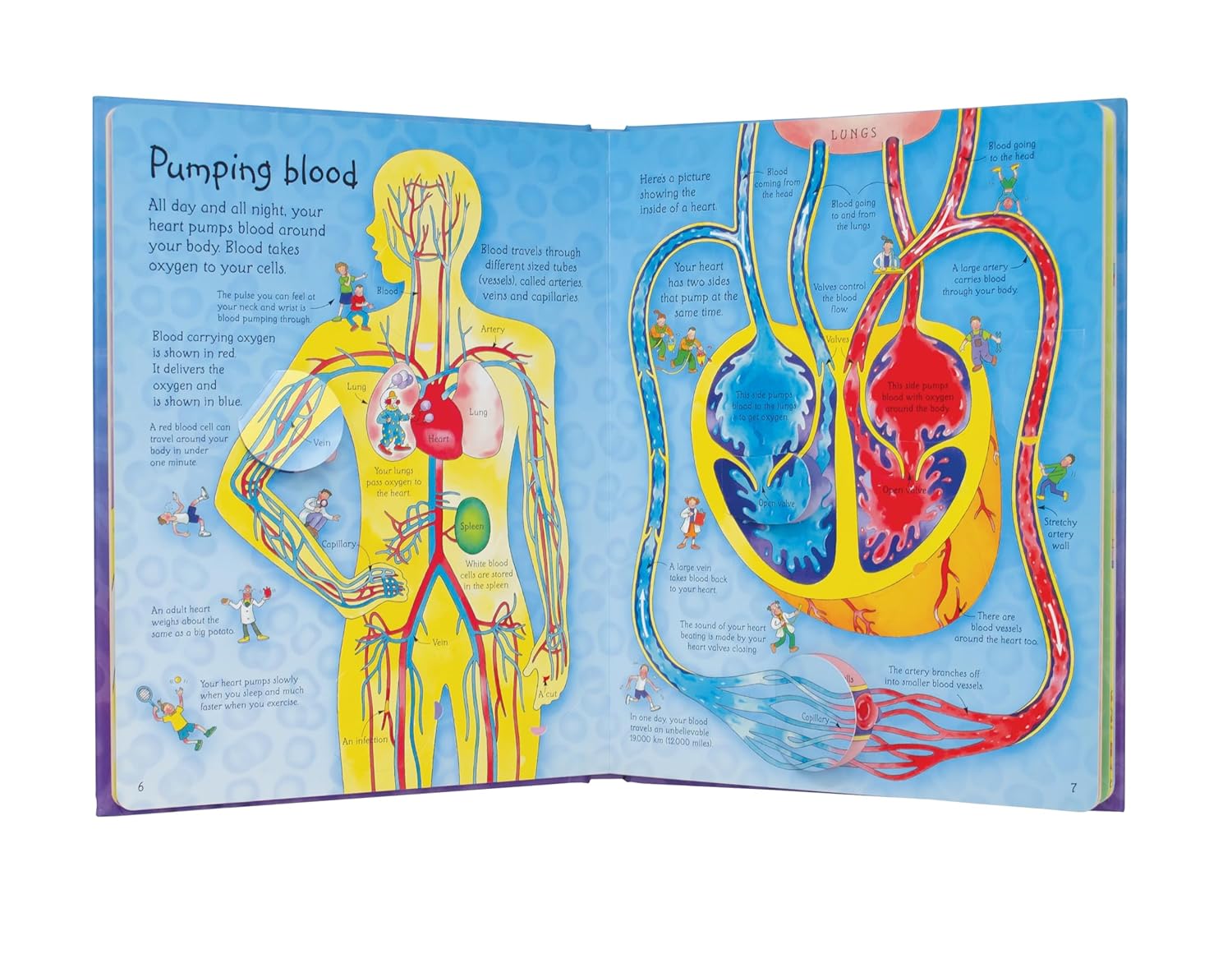 See Inside Your Body (Usborne Flap Books) (Usborne See Inside) By Katie Daynes