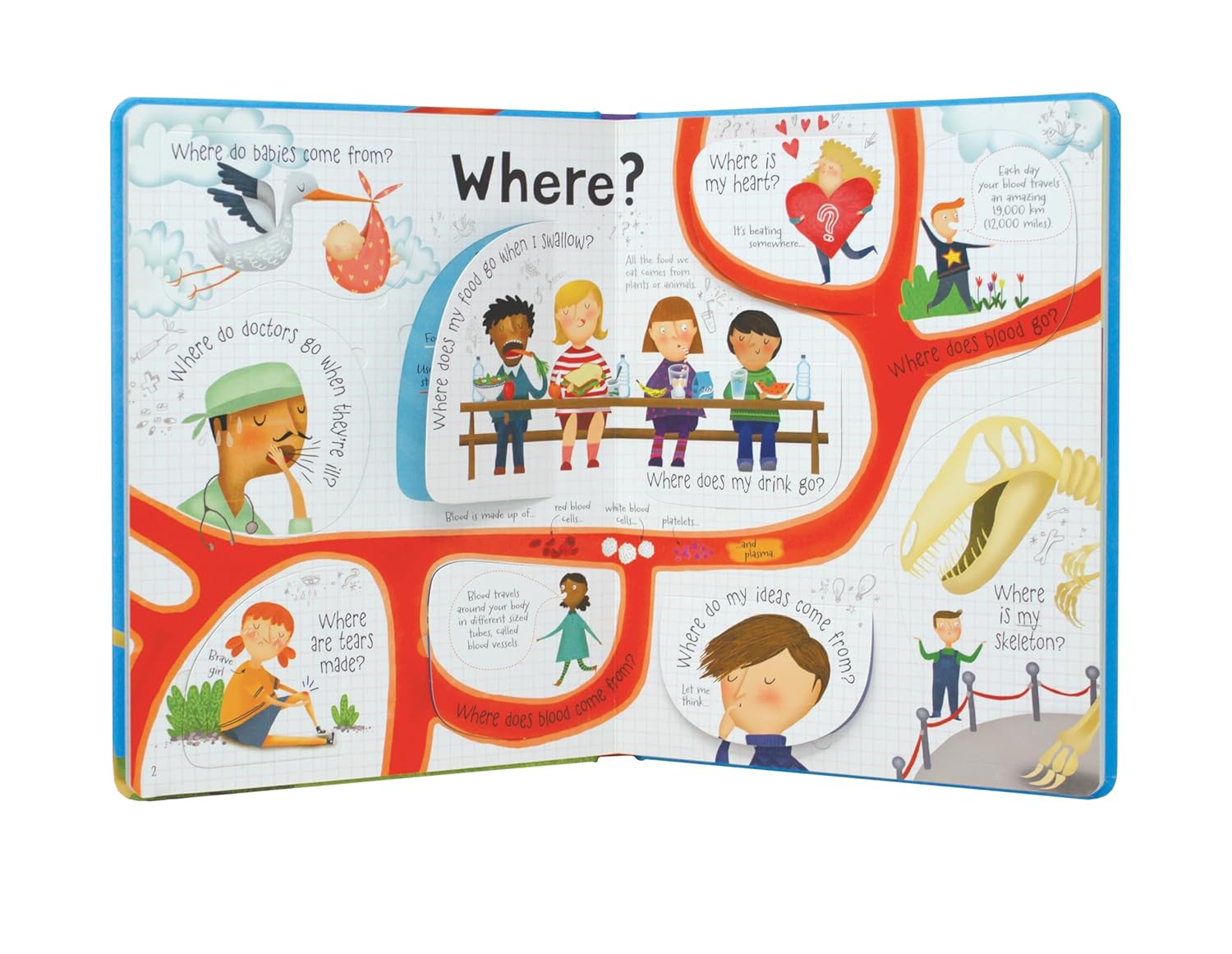 Lift the Flap Questions and Answers about your Body (Usborne Lift-the-Flap-Books): 1 (Questions and Answers) | Hardcover