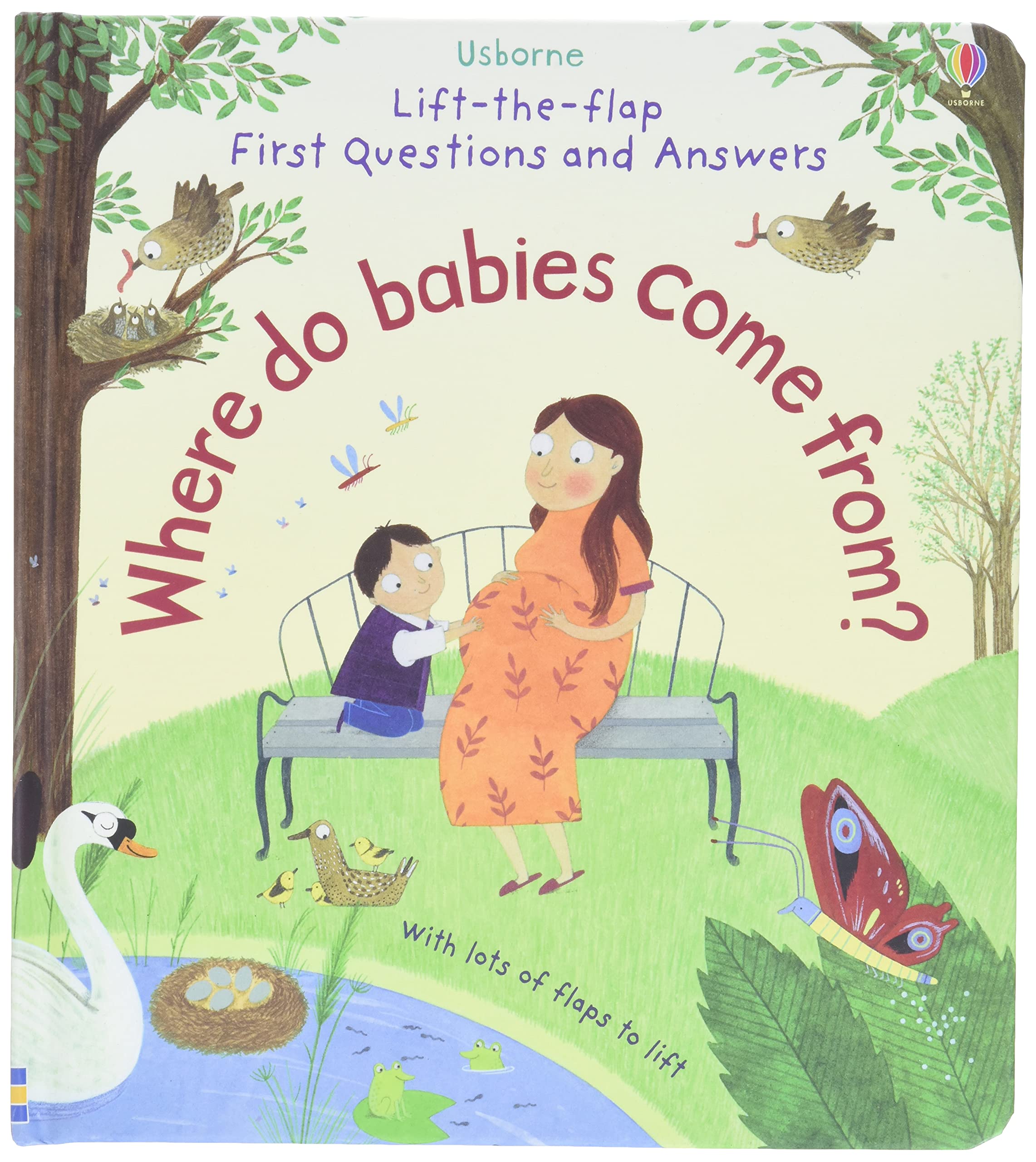 Lift-The-Flap First Questions and Answers Where Do Babies Come from? (Lift-the-Flap First Questions and Answers)