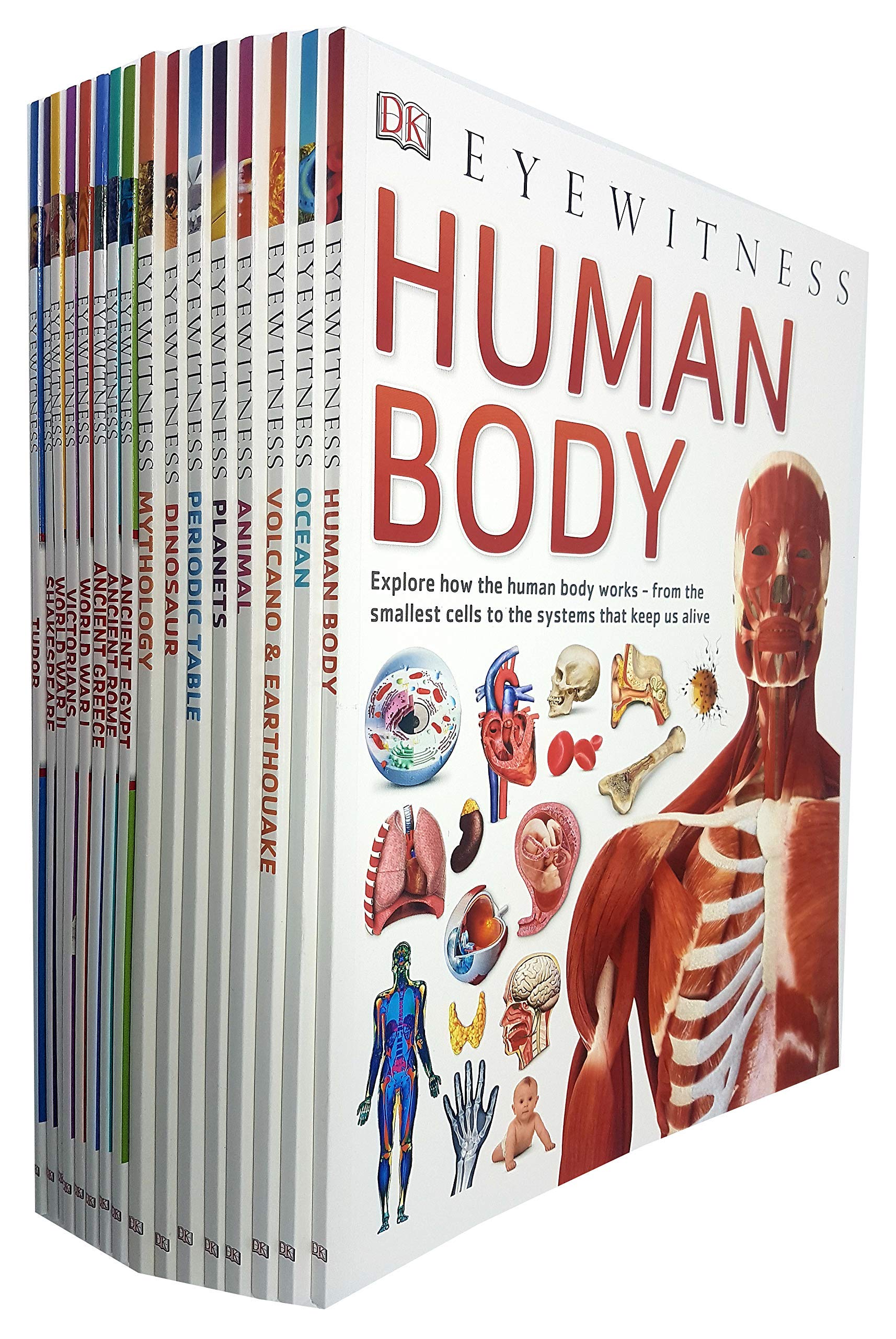 DK Eyewitness Children's Collection 16 Book Set | Educational Pack with Animal Books, Ancient Egypt, Science, History, Adventure, Discovery & Literacy