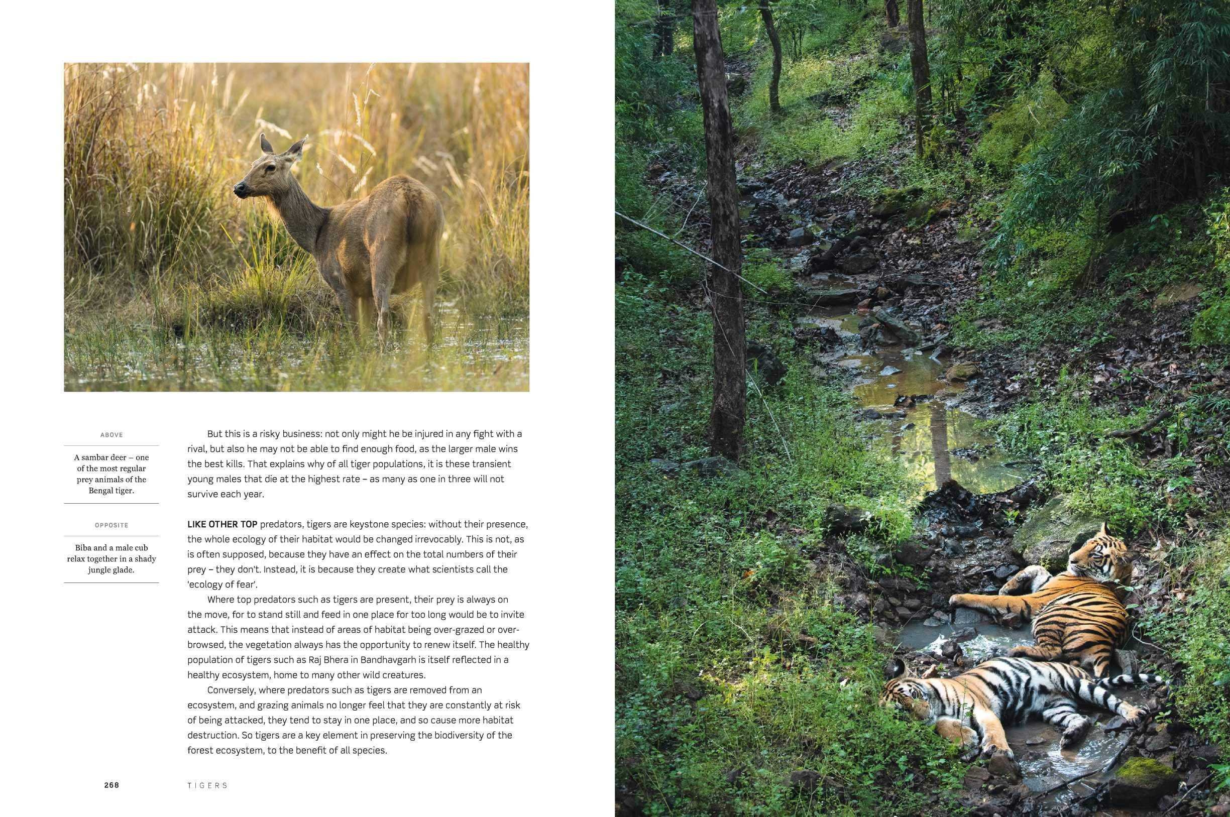 Dynasties The Rise and Fall of Animal Families Stephen Moss David Attenborough