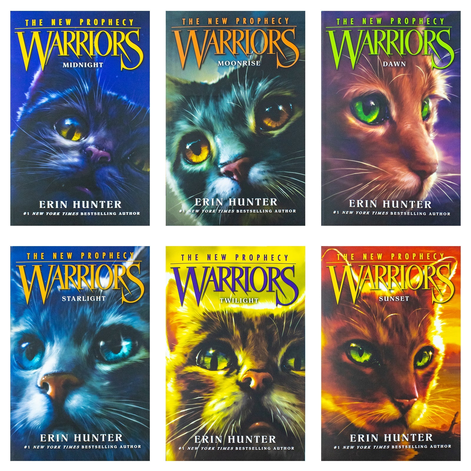 Warrior Cats Series 2 by Erin Hunter - 6 Books for Young Readers