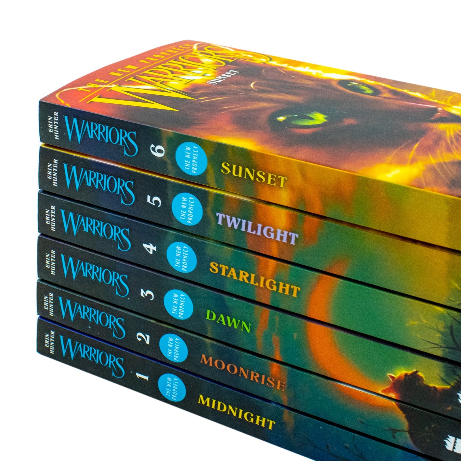 Warrior Cats Series 2 by Erin Hunter - 6 Books for Young Readers