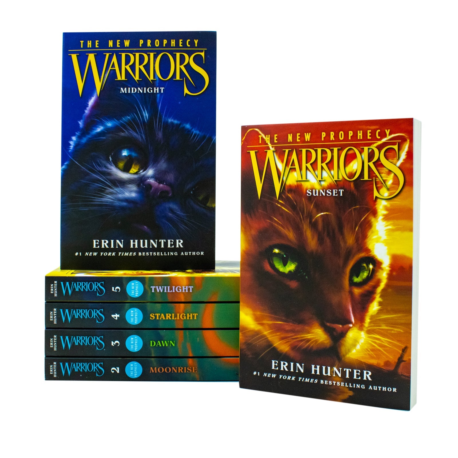 Warrior Cats Series 2 by Erin Hunter - 6 Books for Young Readers
