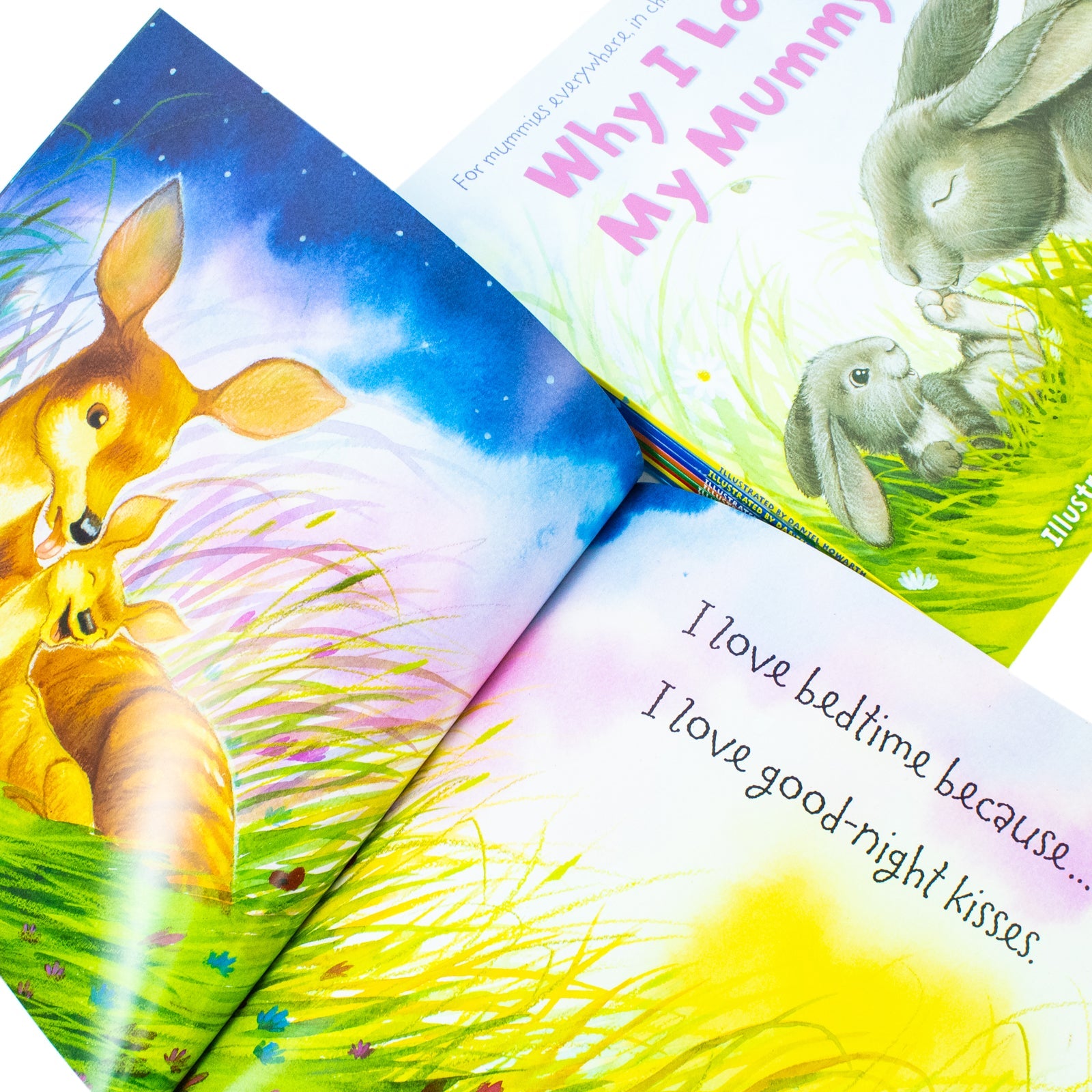 Why I Love Mummy, Daddy, Grandpa, Grandma, Sister, Brother 10 Picture Flat Books Children Collection Paperback Set For Kids Aged 0-5 Years readers