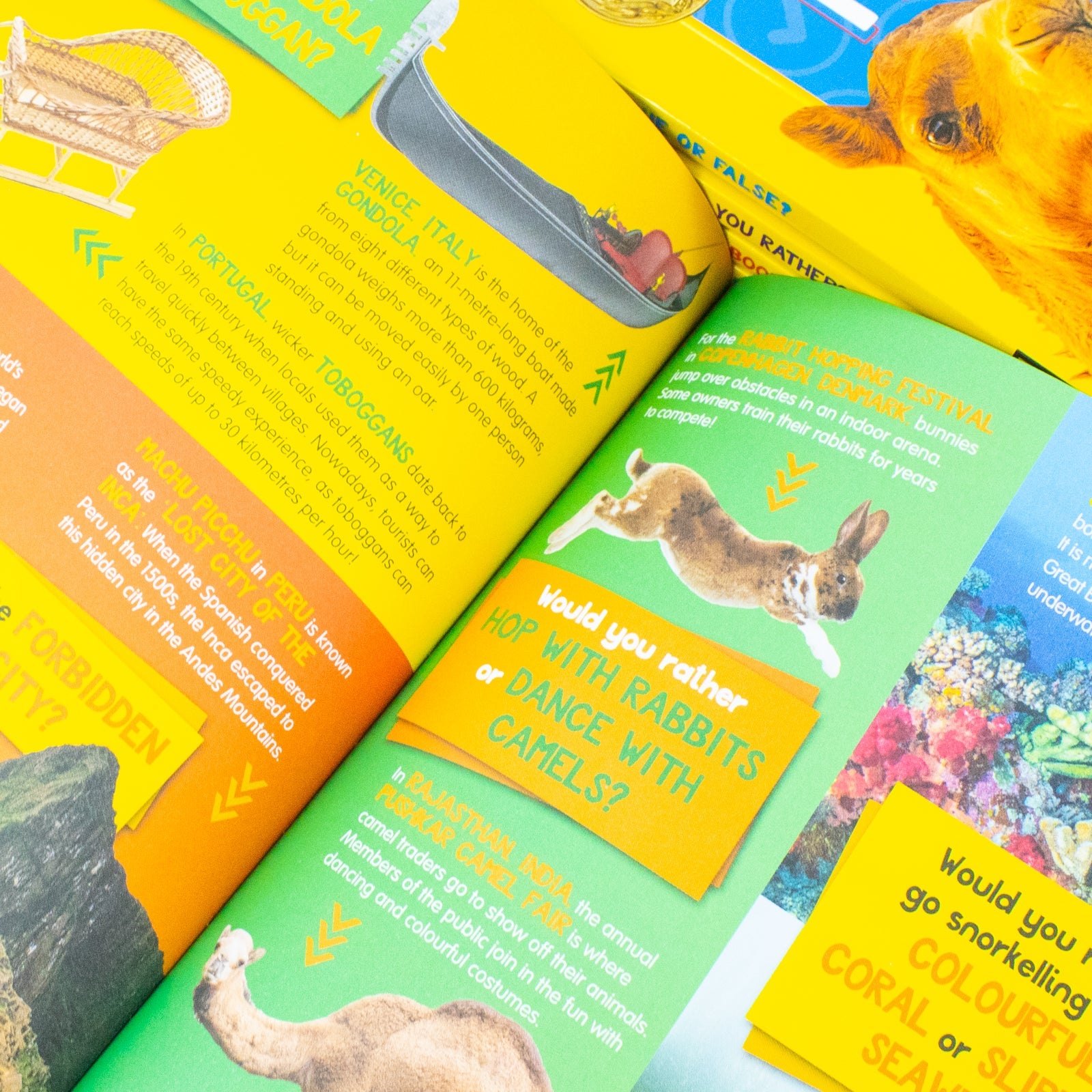 National Geographic Kids Animals 5 Book Collection Set, Fun-Filled Family Game Book Series with Facts, Quizzes & Activities for Children Ages 7+