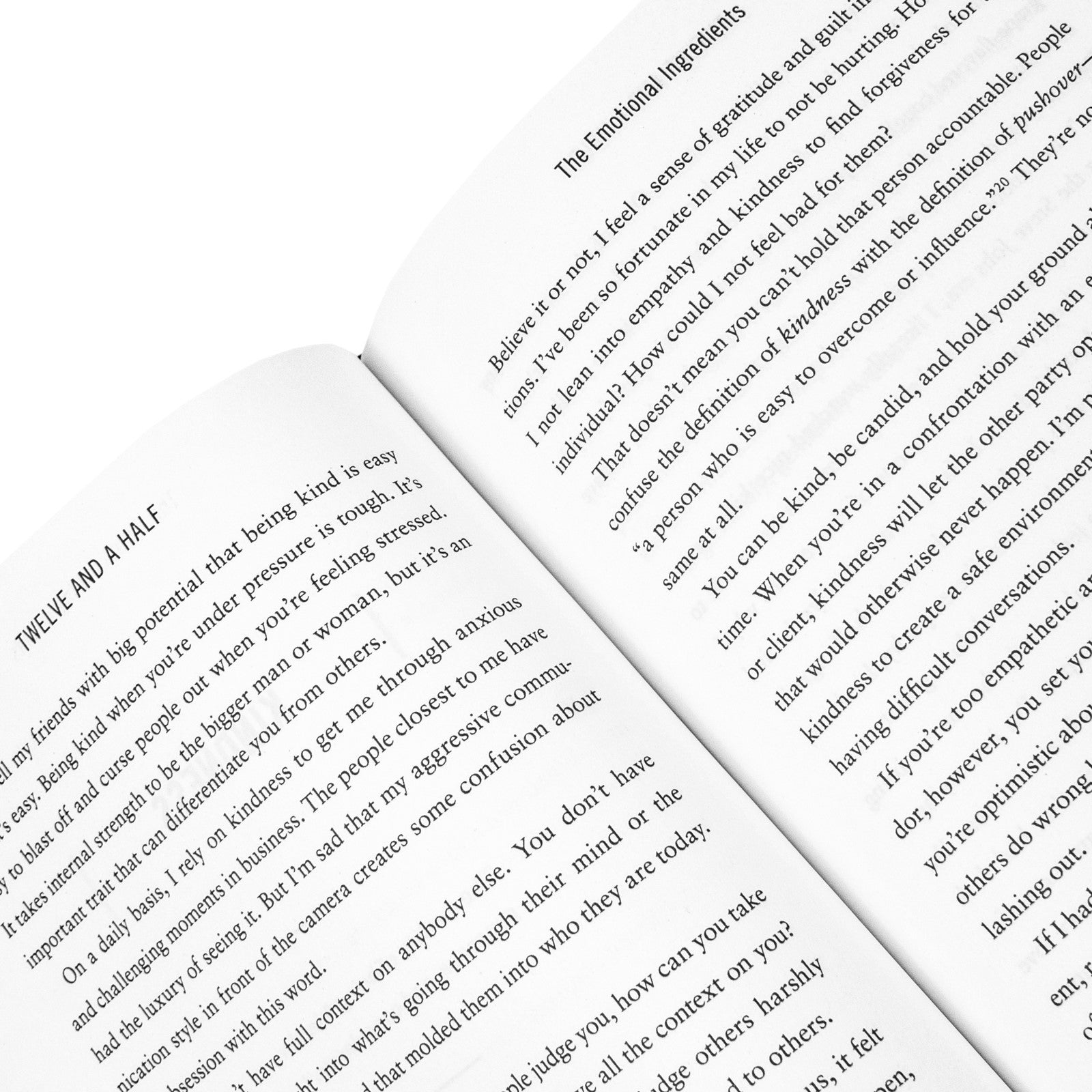 Twelve and a Half: Leveraging the Emotional Ingredients Necessary for Business Success Book