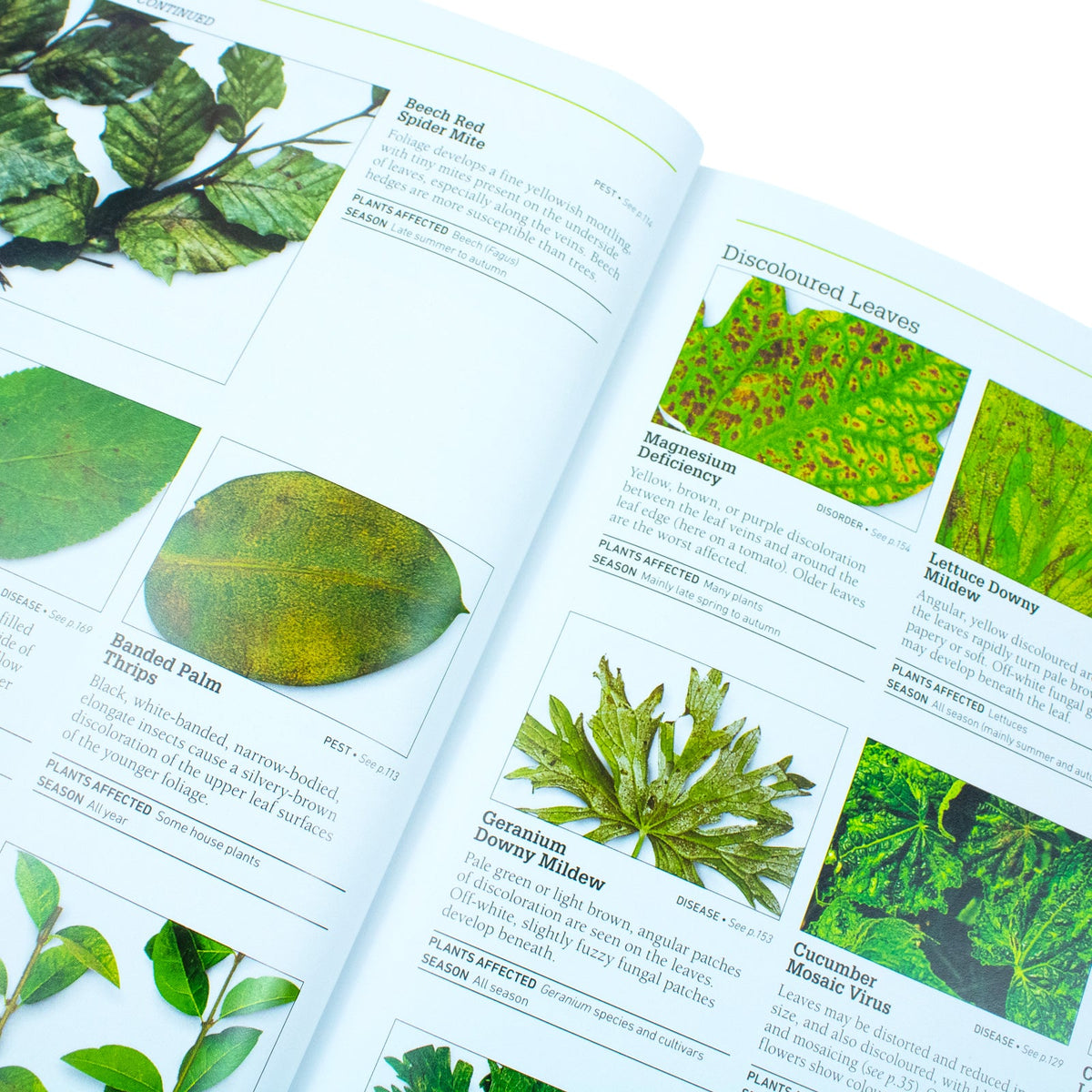 RHS Pests and Diseases (New Edition) – Plant-by-Plant Advice Book | Gardening Tips for Plant Health, Protection, Maintenance & Healthy Produce