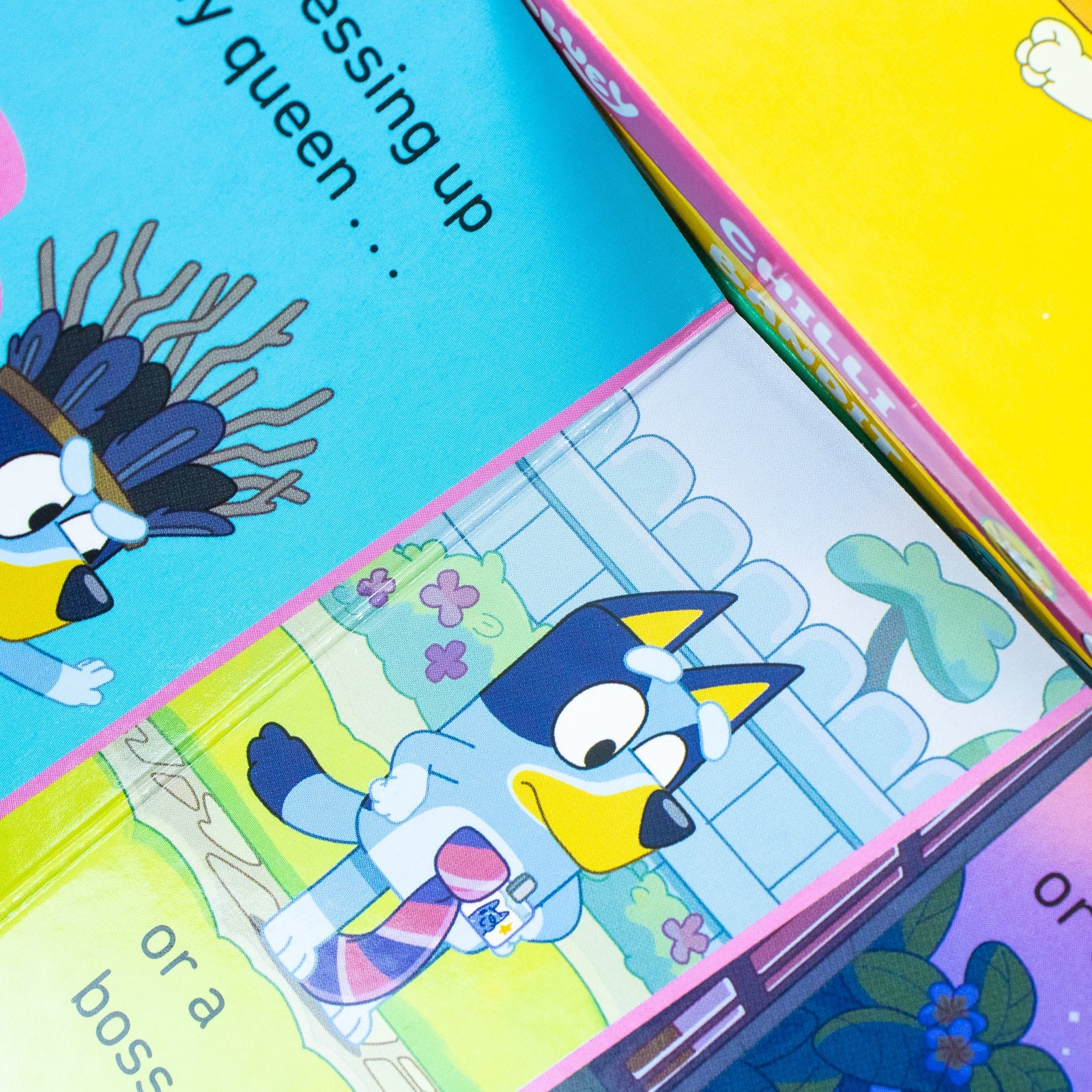 Bluey 4 Books ( Bingo, Bluey, Chilli & Bandit ) Collection Set