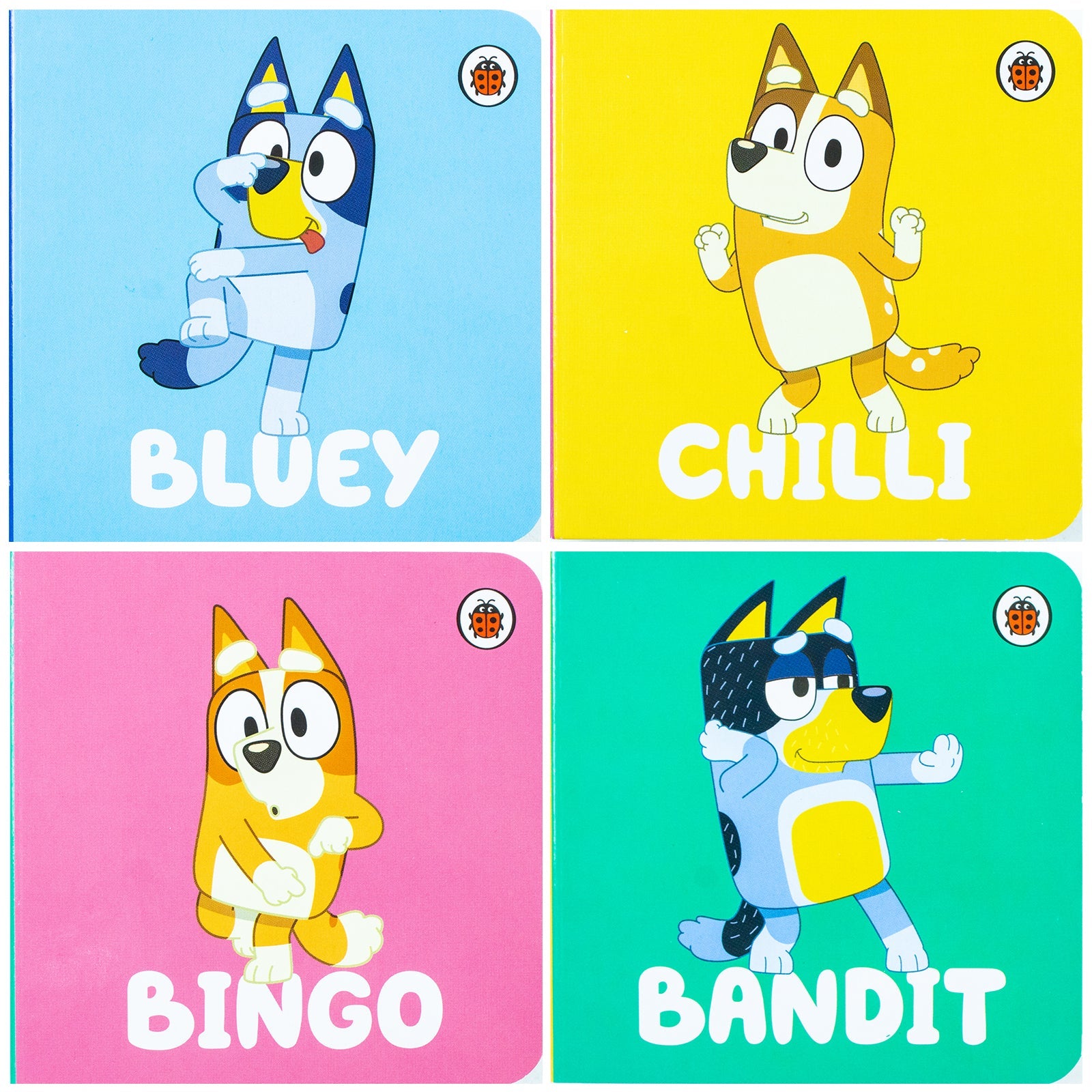 Bluey 4 Books ( Bingo, Bluey, Chilli & Bandit ) Collection Set