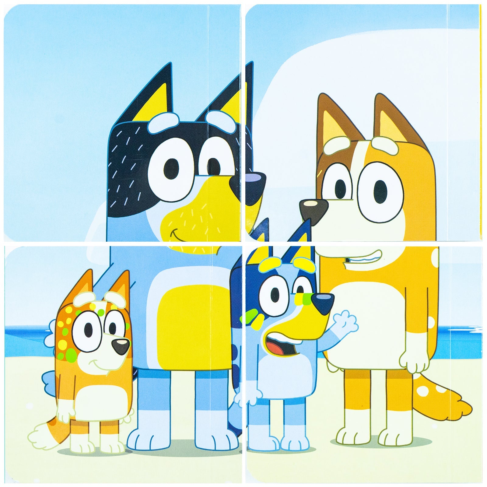 Bluey 4 Books ( Bingo, Bluey, Chilli & Bandit ) Collection Set