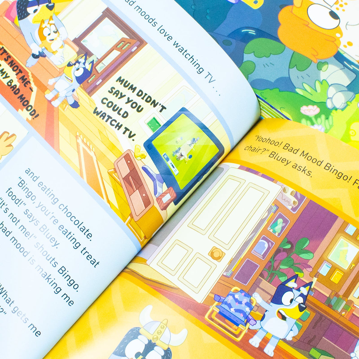Bluey: Awesome Box of Books – 10 Book Collection by Puffin Books | Fun Storytime Adventures with Bluey, Bingo, Mum, and Dad