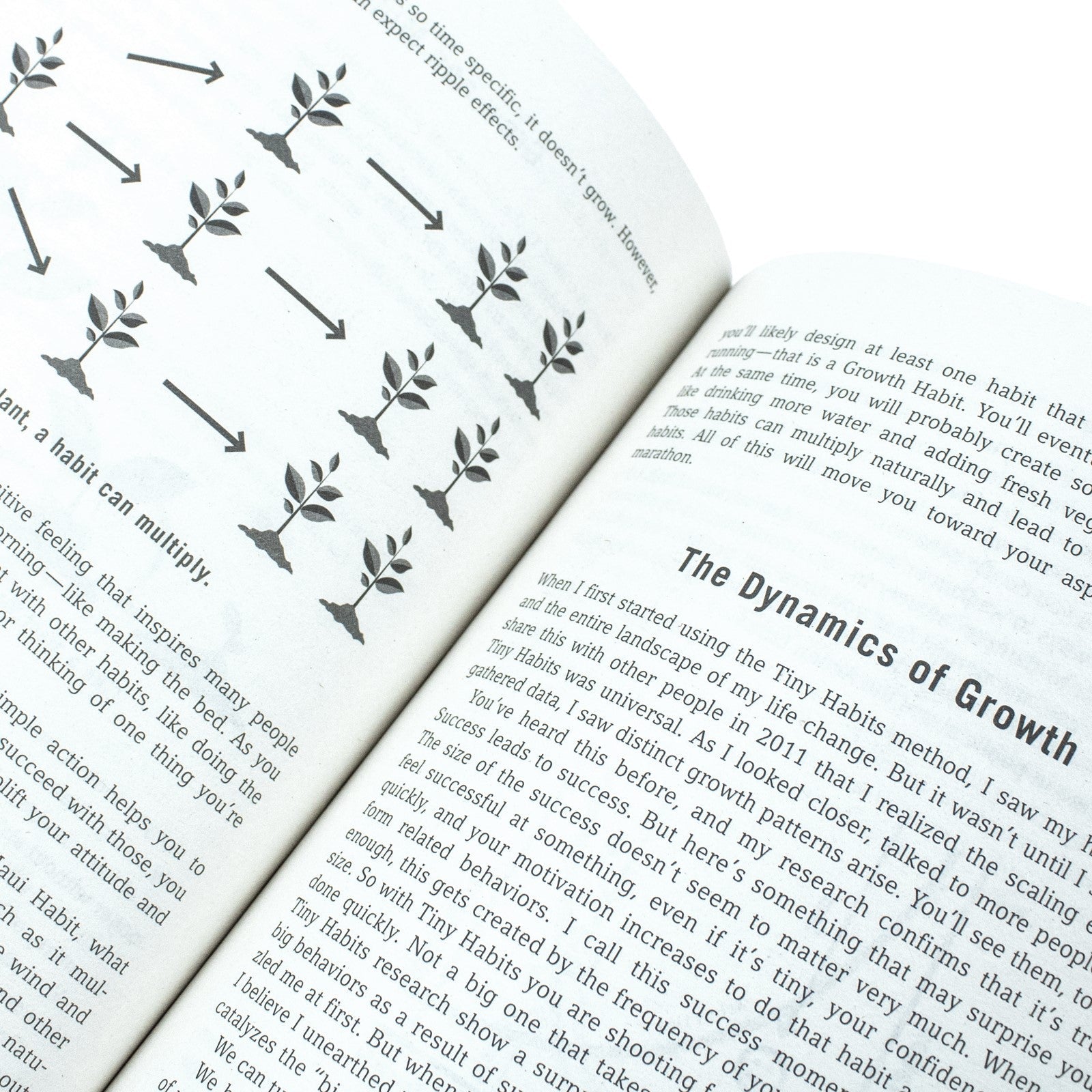 Tiny Habits Book: Why Starting Small Makes Lasting Change Easy – The Fogg Method for Better Habits, Self-Improvement, Success, Motivation & Wellness