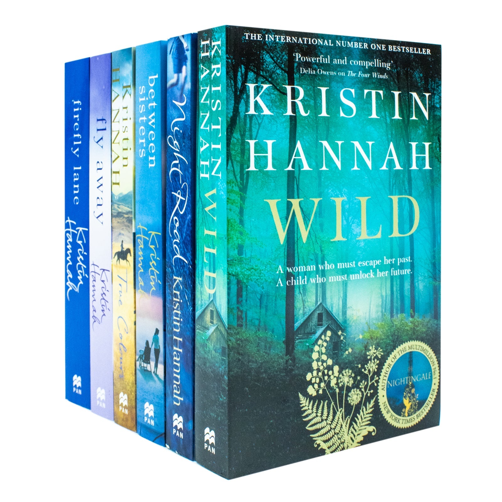 Kristin Hannah 6 Books Collection Set - Firefly Lane, Wild, Night Road, Between Sisters, True Colours & Fly Away: Drama & Heartwarming Tales