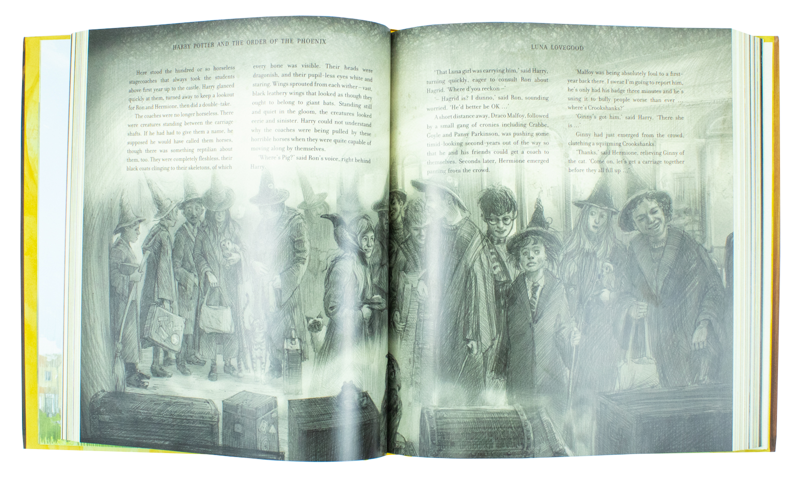 Harry Potter and the Order of the Phoenix By J.K. Rowling & Jim Kay (Illustrated Edition, Hardback)