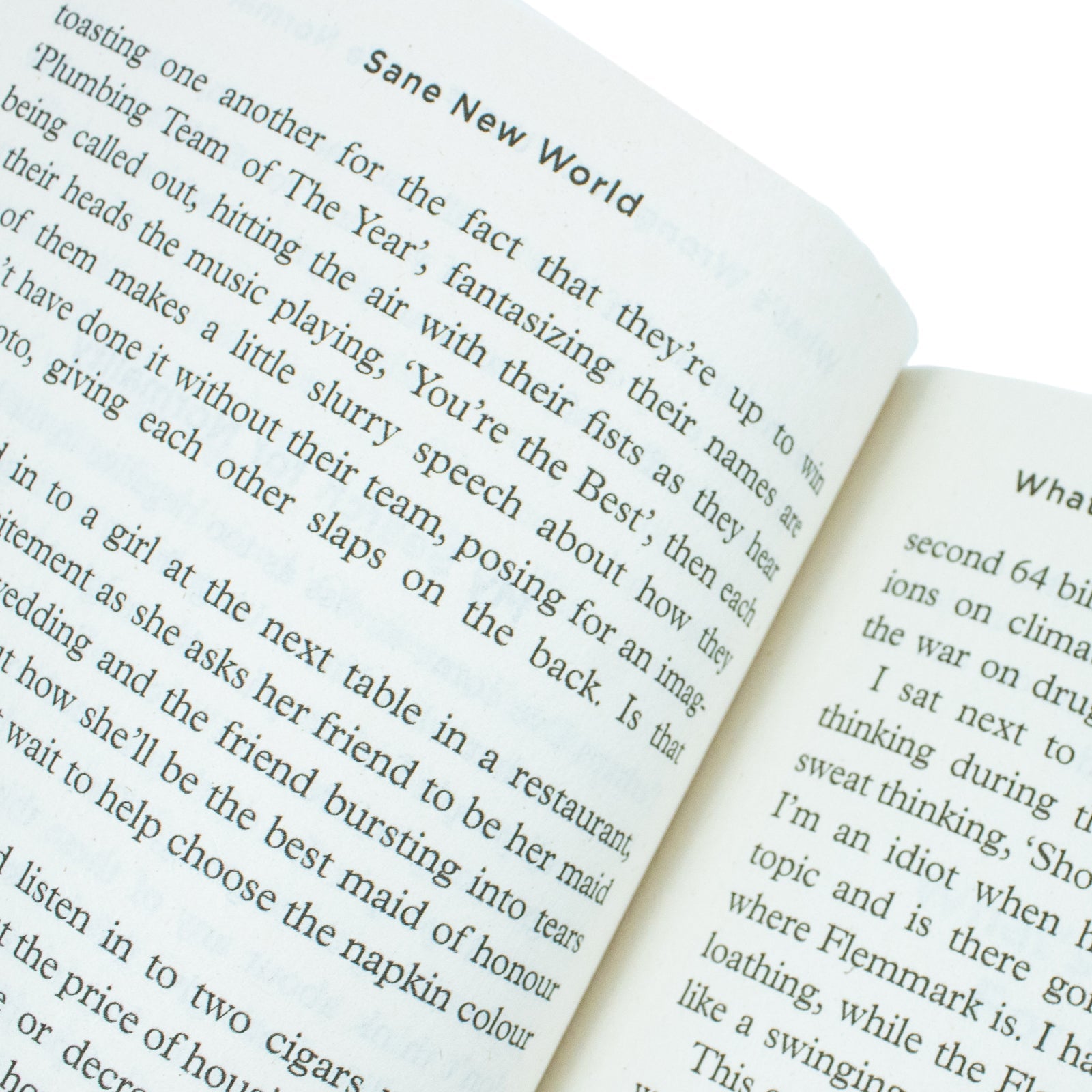 Sane New World: Taming the Mind – A Self-Help Book on Mindfulness, Mental Health, Anxiety, Stress Management, and Personal Development by Ruby Wax