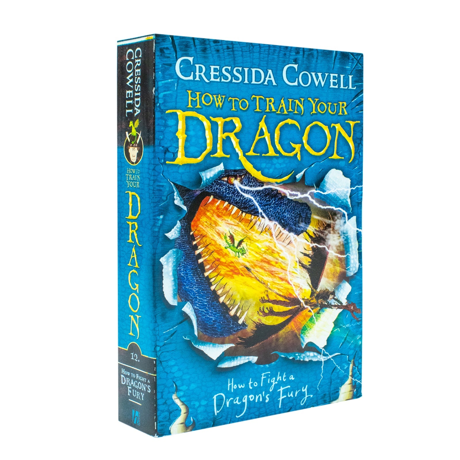 How to train your dragon Vol 12 How to train a dragons fury By Cressida Cowell