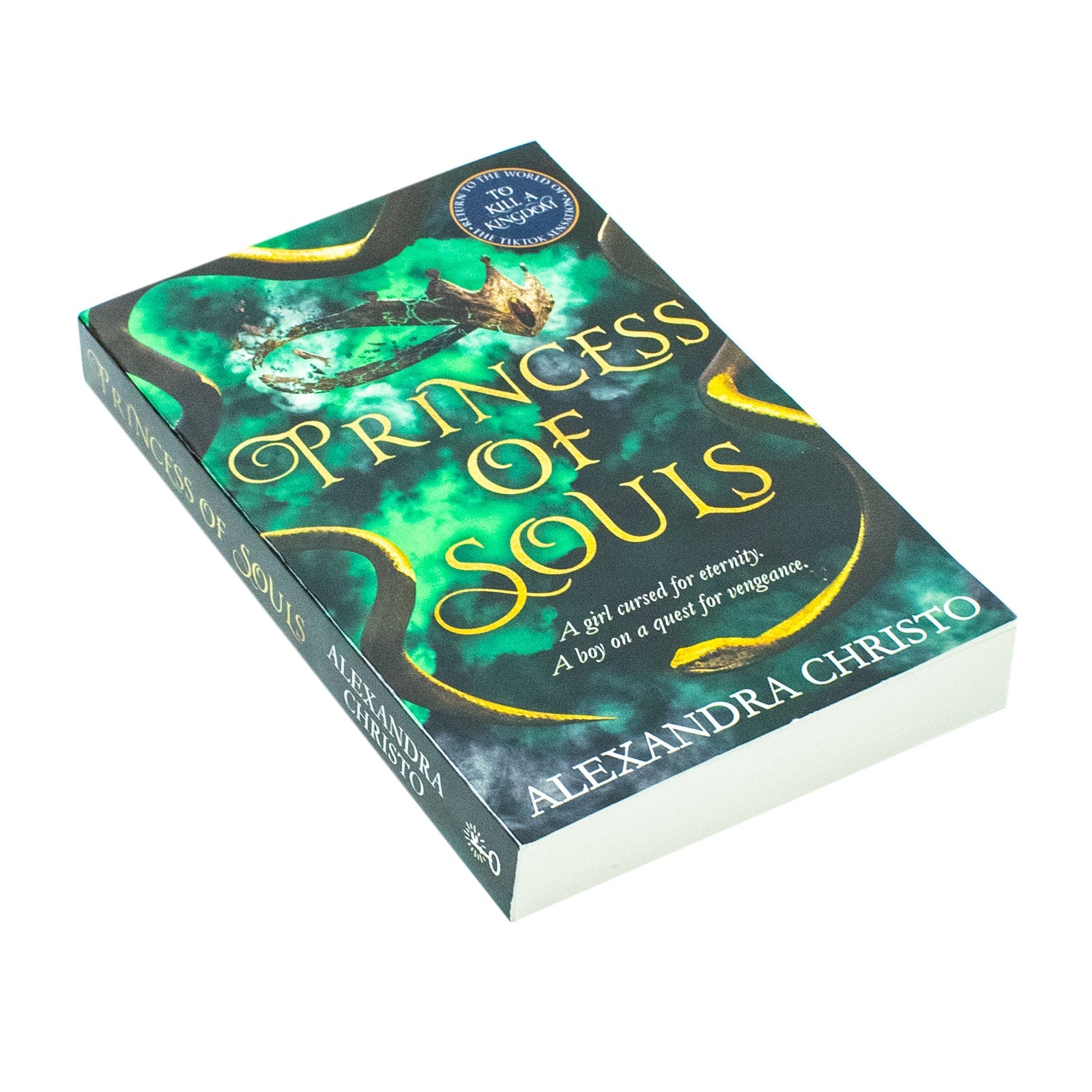Princess of Souls: from the author of To Kill a Kingdom, the TikTok sensation By Alexandra Christo