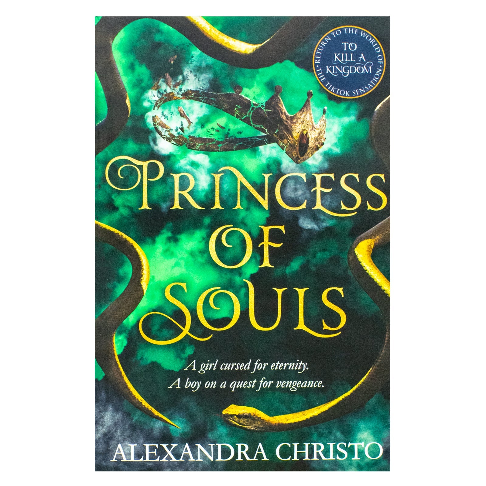 Princess of Souls: from the author of To Kill a Kingdom, the TikTok sensation By Alexandra Christo