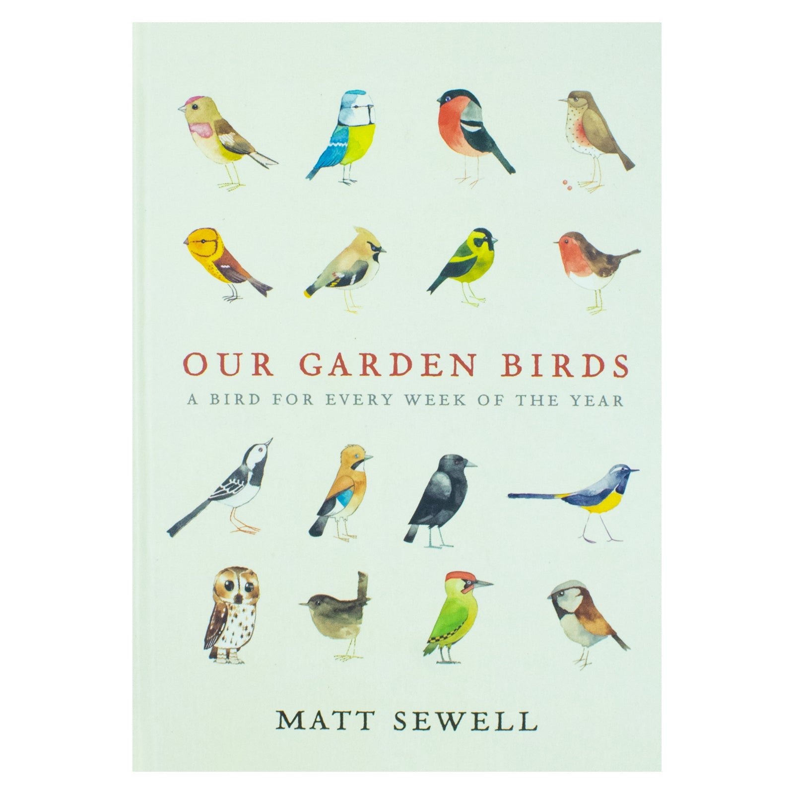 Our Garden Birds: A Stunning Illustrated Guide to the Birdlife of the British Isles by Matt Sewell | Nature, Wildlife & Birdwatching Book for All Ages