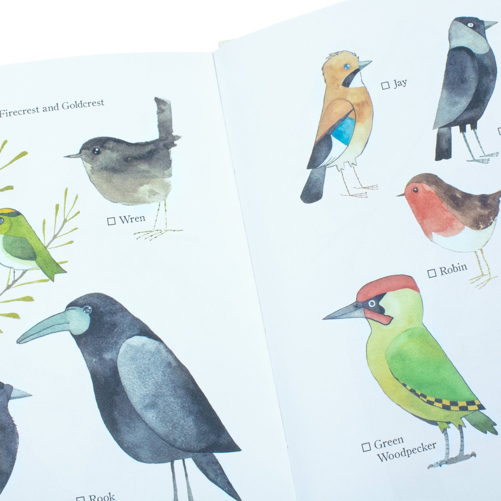 Our Garden Birds: A Stunning Illustrated Guide to the Birdlife of the British Isles by Matt Sewell | Nature, Wildlife & Birdwatching Book for All Ages