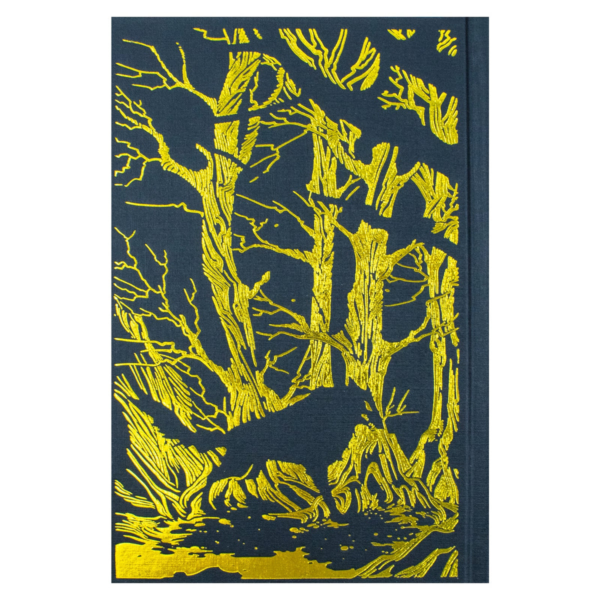A Court of Thorns and Roses Collector's Edition