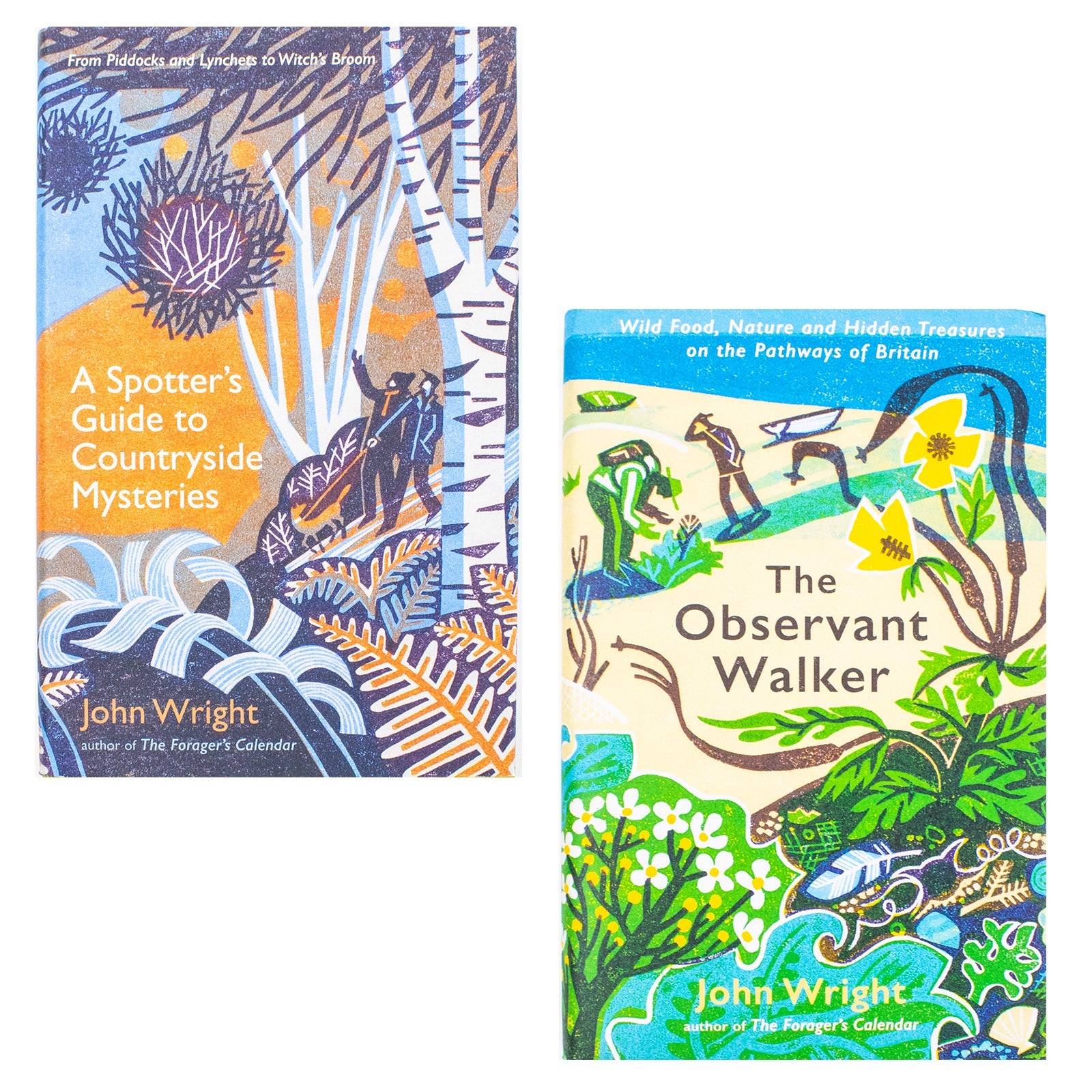 John Wright 2 Book Set: The Observant Walker & A Spotters Guide to Countryside Mysteries – Discover Natures Hidden Secrets & Mysteries (Hardback)