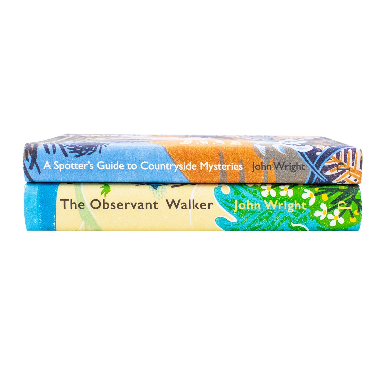 John Wright 2 Book Set: The Observant Walker & A Spotters Guide to Countryside Mysteries – Discover Natures Hidden Secrets & Mysteries (Hardback)